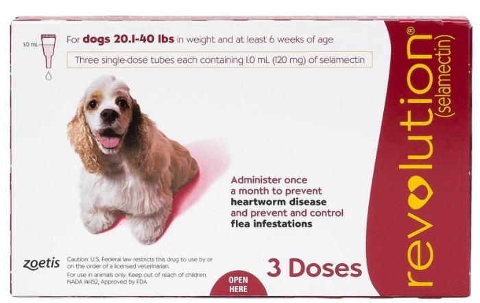 SINGAPORE PET CARE SUPPLIES RETAILER 's image