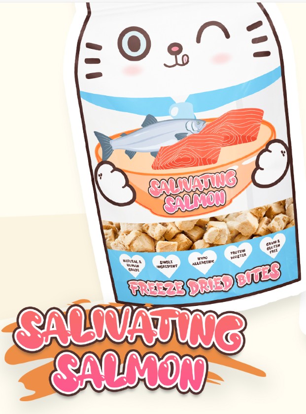 SINGAPORE PET CARE SUPPLIES RETAILER 's image