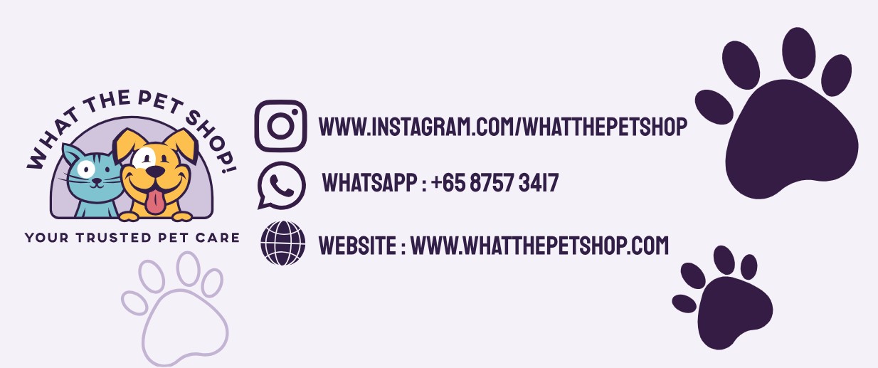 SINGAPORE PET CARE SUPPLIES RETAILER 's image