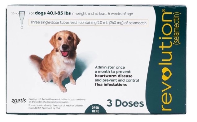 SINGAPORE PET CARE SUPPLIES RETAILER 's image