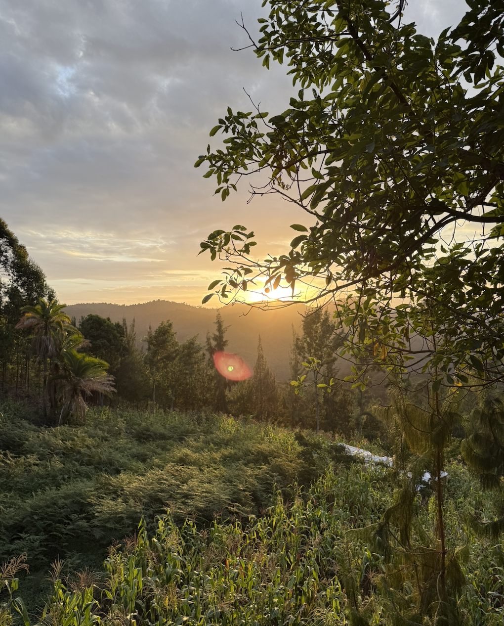 Chameleon Eco Farm Stay and Cultural Tourism Enterprise's image