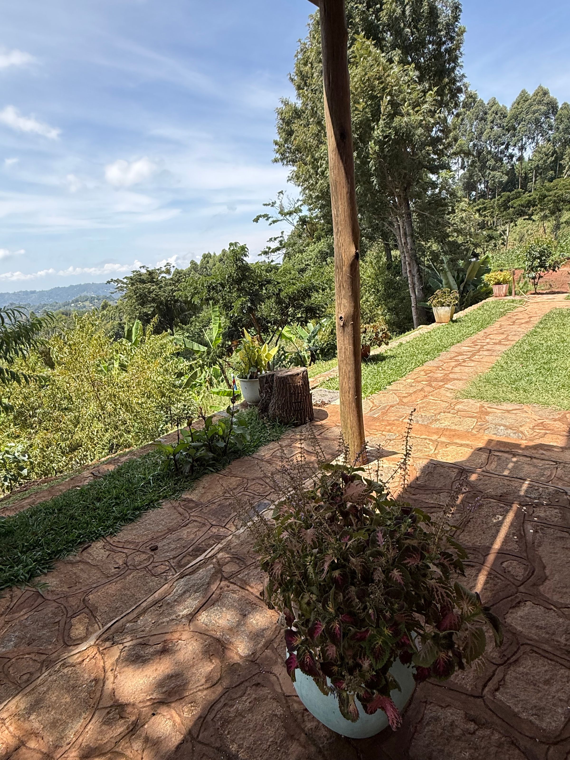 Chameleon Eco Farm Stay and Cultural Tourism Enterprise's image