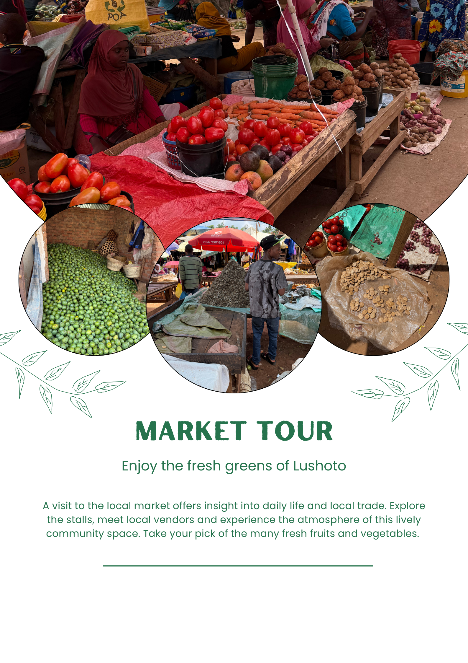 Chameleon Eco Farm Stay and Cultural Tourism Enterprise's image