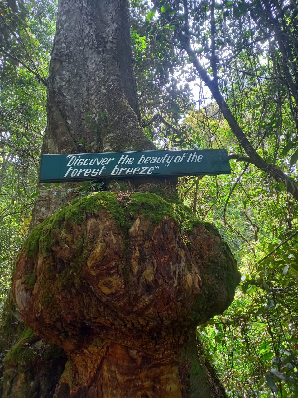 Chameleon Eco Farm Stay and Cultural Tourism Enterprise's image
