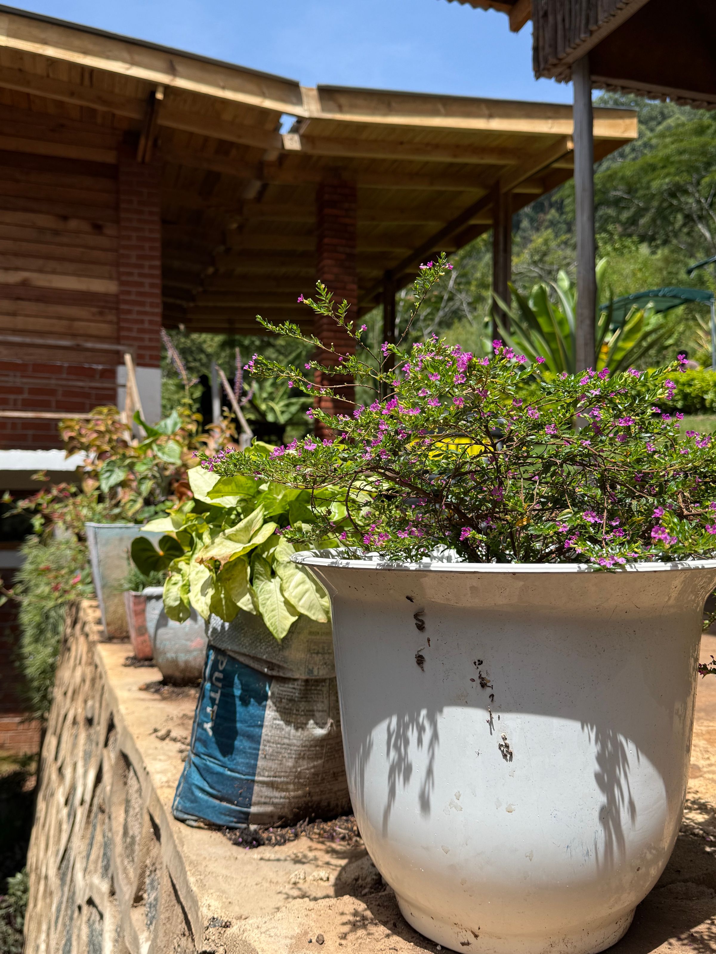 Chameleon Eco Farm Stay and Cultural Tourism Enterprise's image