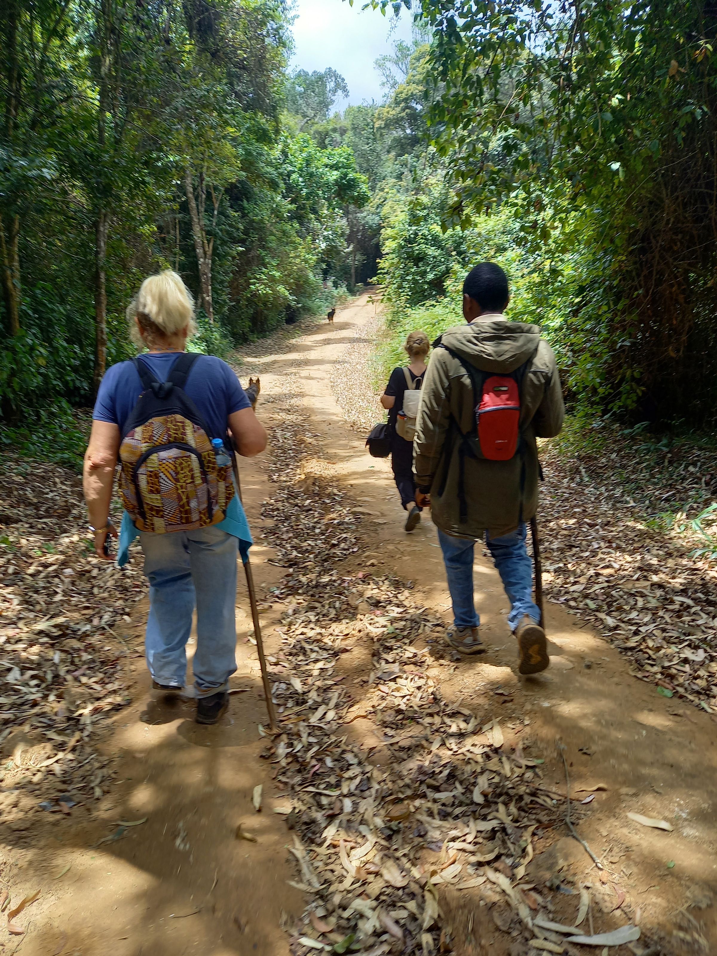 Chameleon Eco Farm Stay and Cultural Tourism Enterprise's image