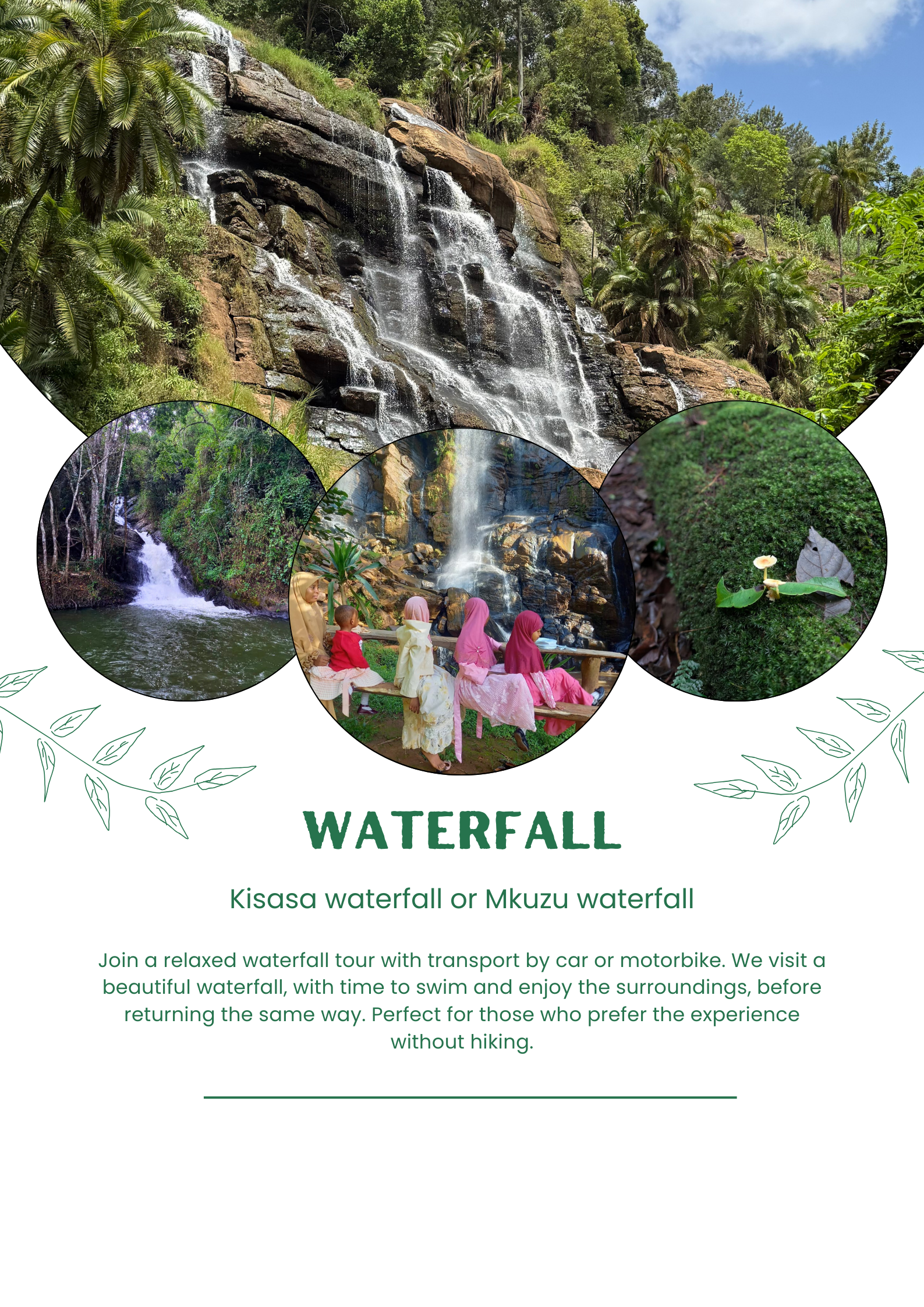 Chameleon Eco Farm Stay and Cultural Tourism Enterprise's image