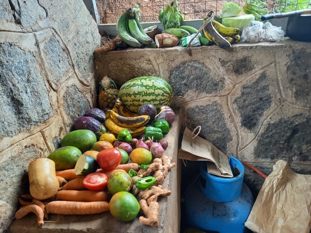 Chameleon Eco Farm Stay and Cultural Tourism Enterprise's image