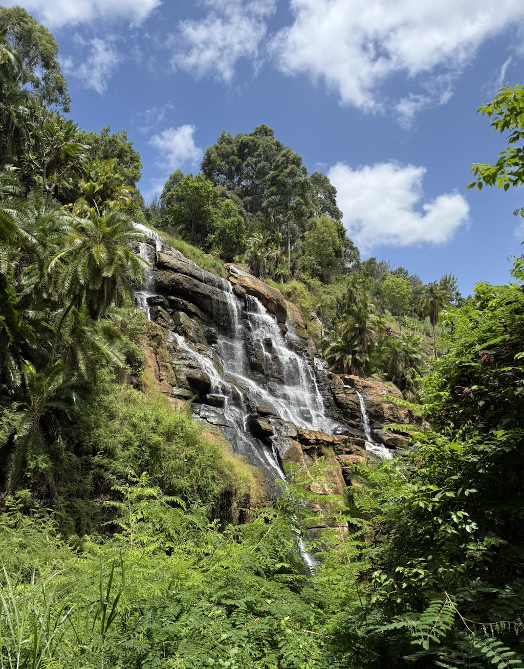 Chameleon Eco Farm Stay and Cultural Tourism Enterprise's image