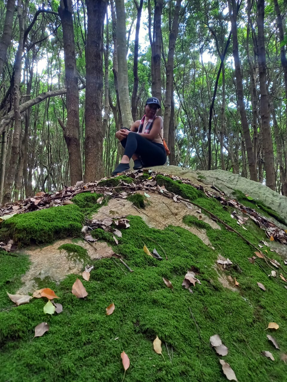 Chameleon Eco Farm Stay and Cultural Tourism Enterprise's image