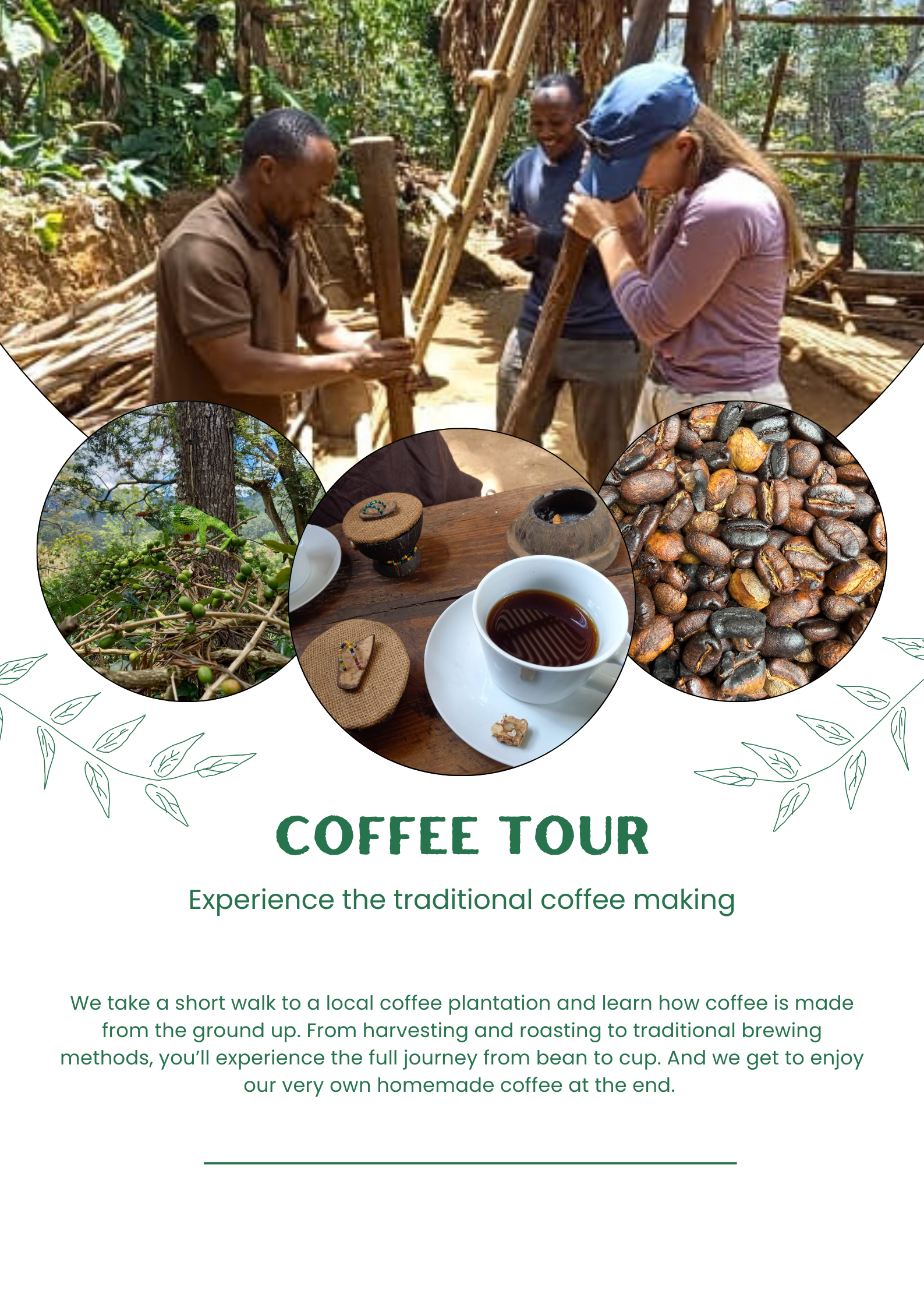 Chameleon Eco Farm Stay and Cultural Tourism Enterprise's image