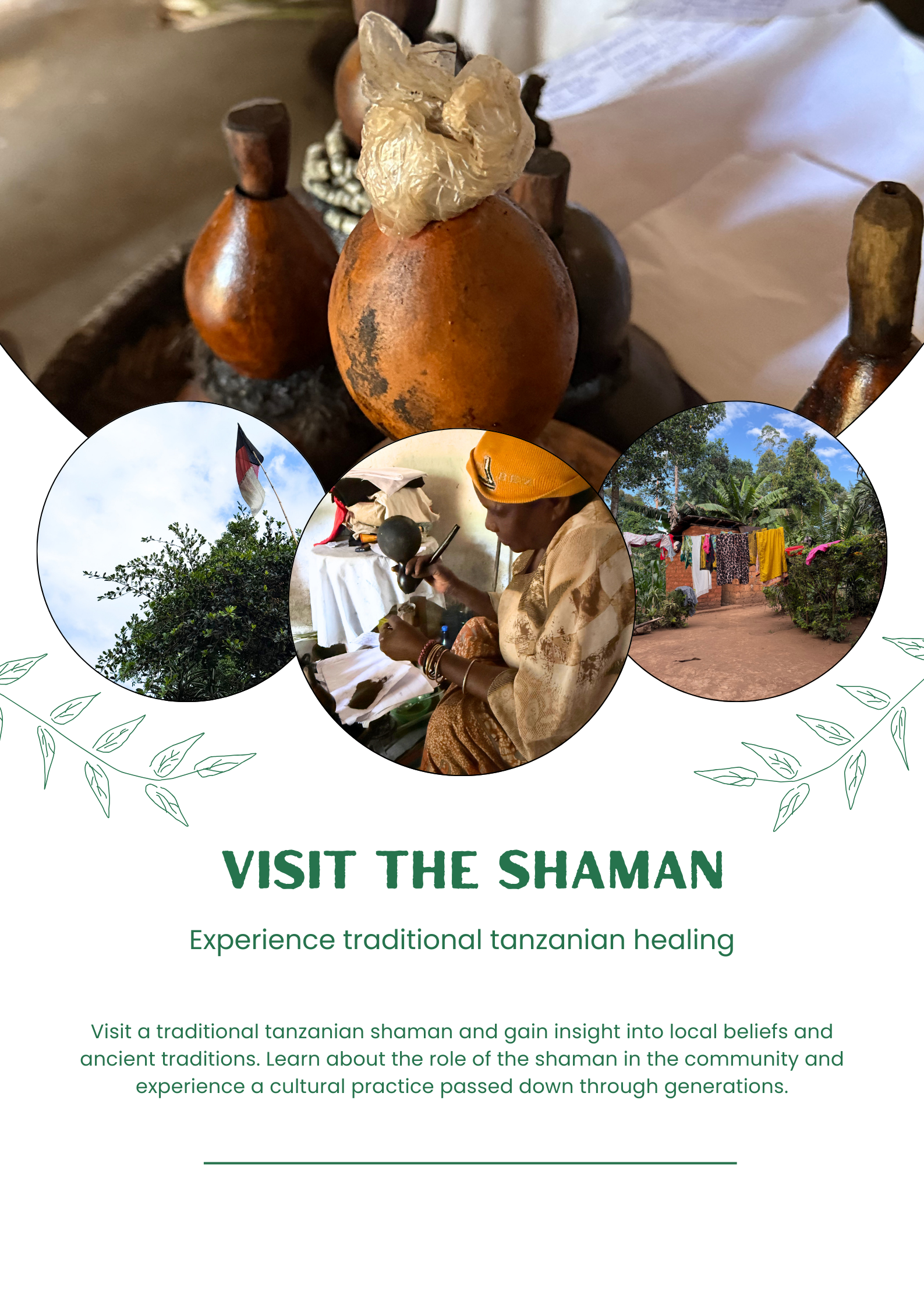 Chameleon Eco Farm Stay and Cultural Tourism Enterprise's image