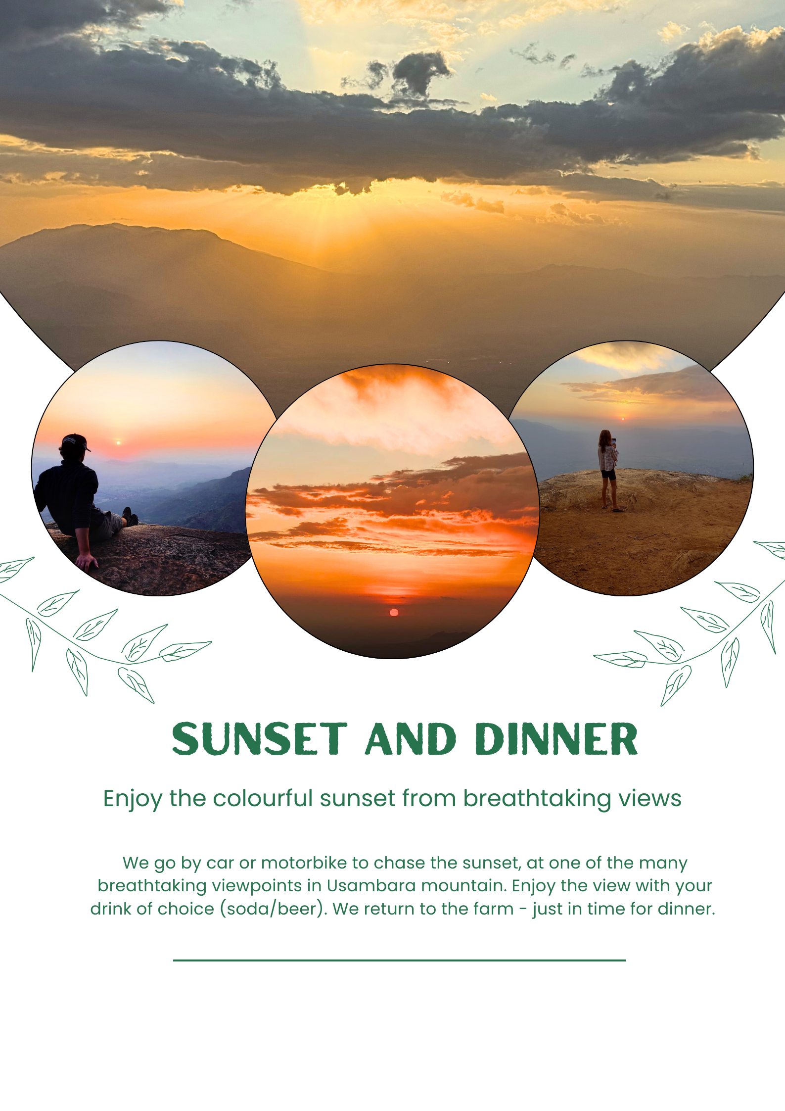 Chameleon Eco Farm Stay and Cultural Tourism Enterprise's image