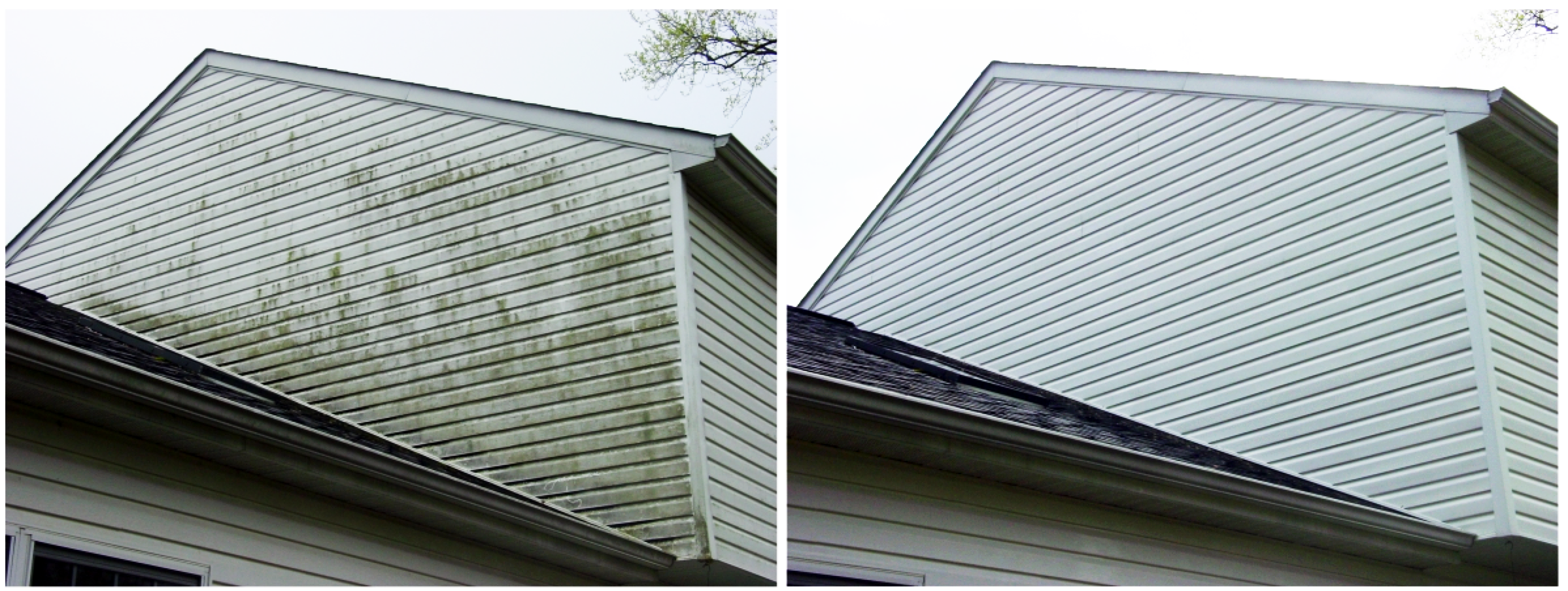 WD Property Preservation's image