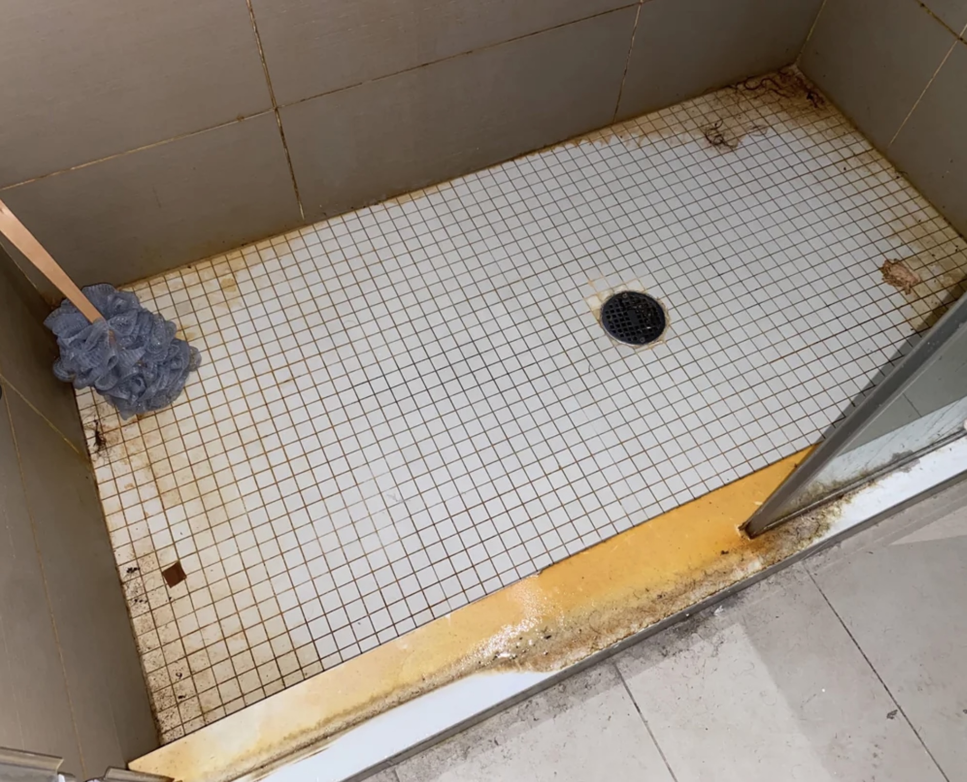 WD Property Preservation's image