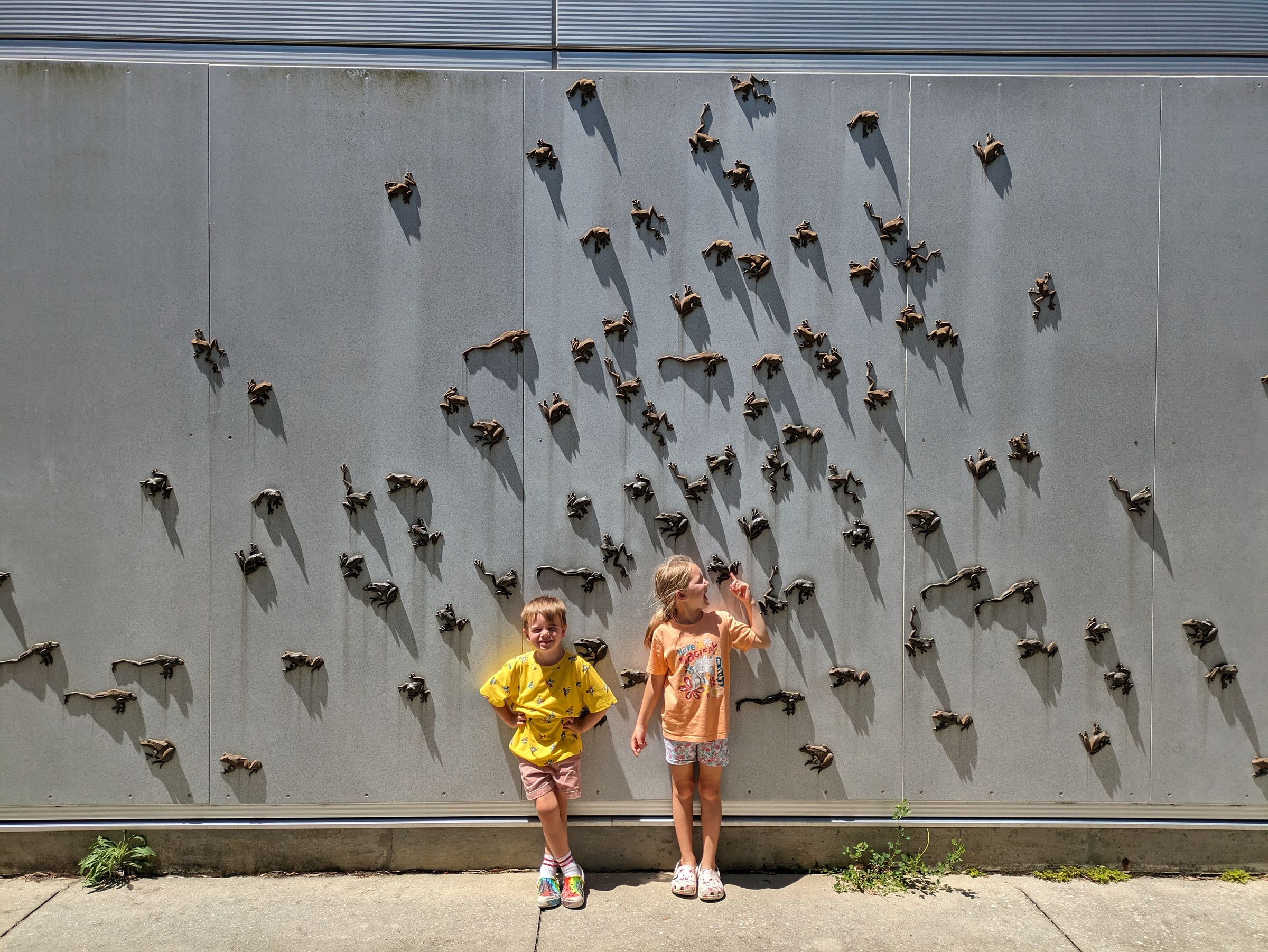 nestED connections's image