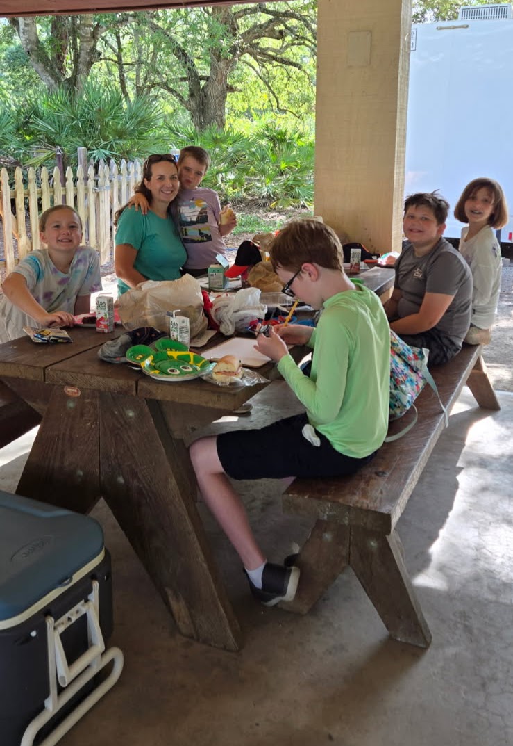 nestED connections's image