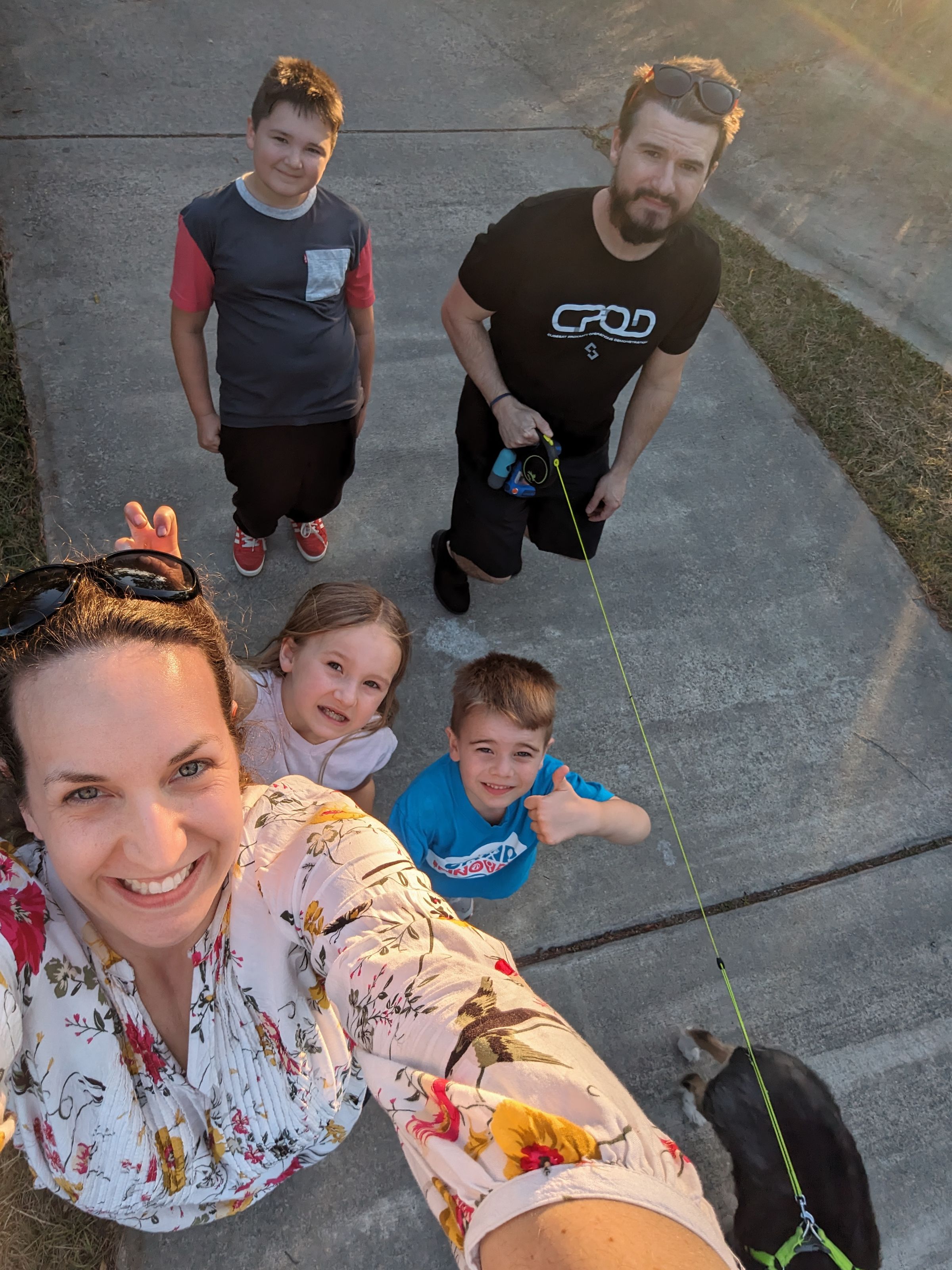 nestED connections's image