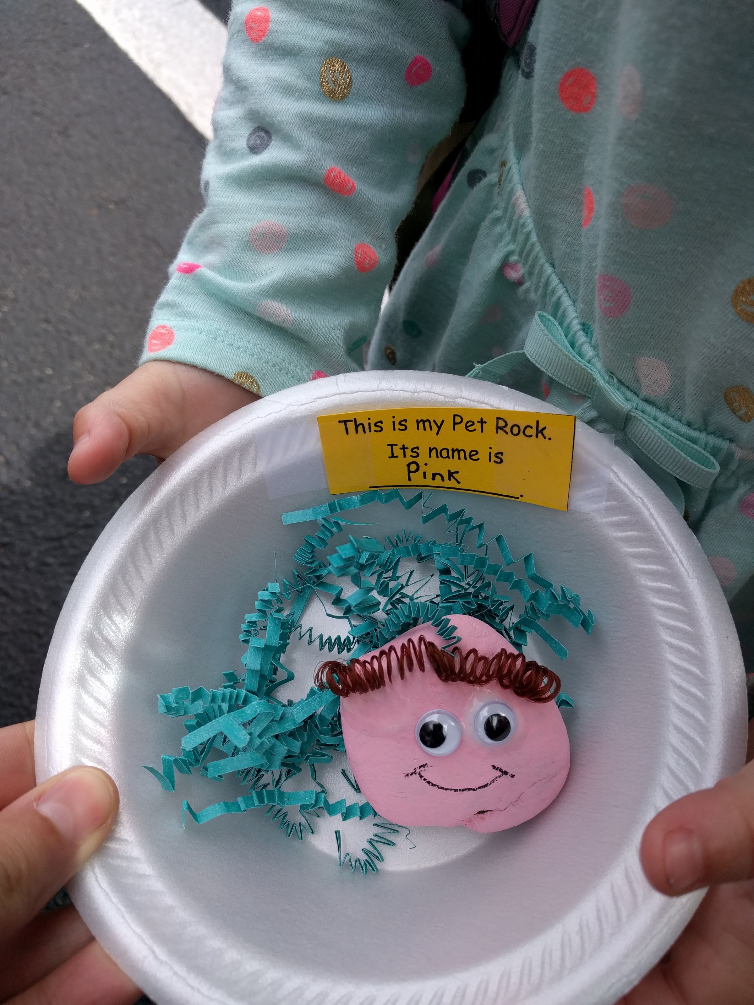 nestED connections's image