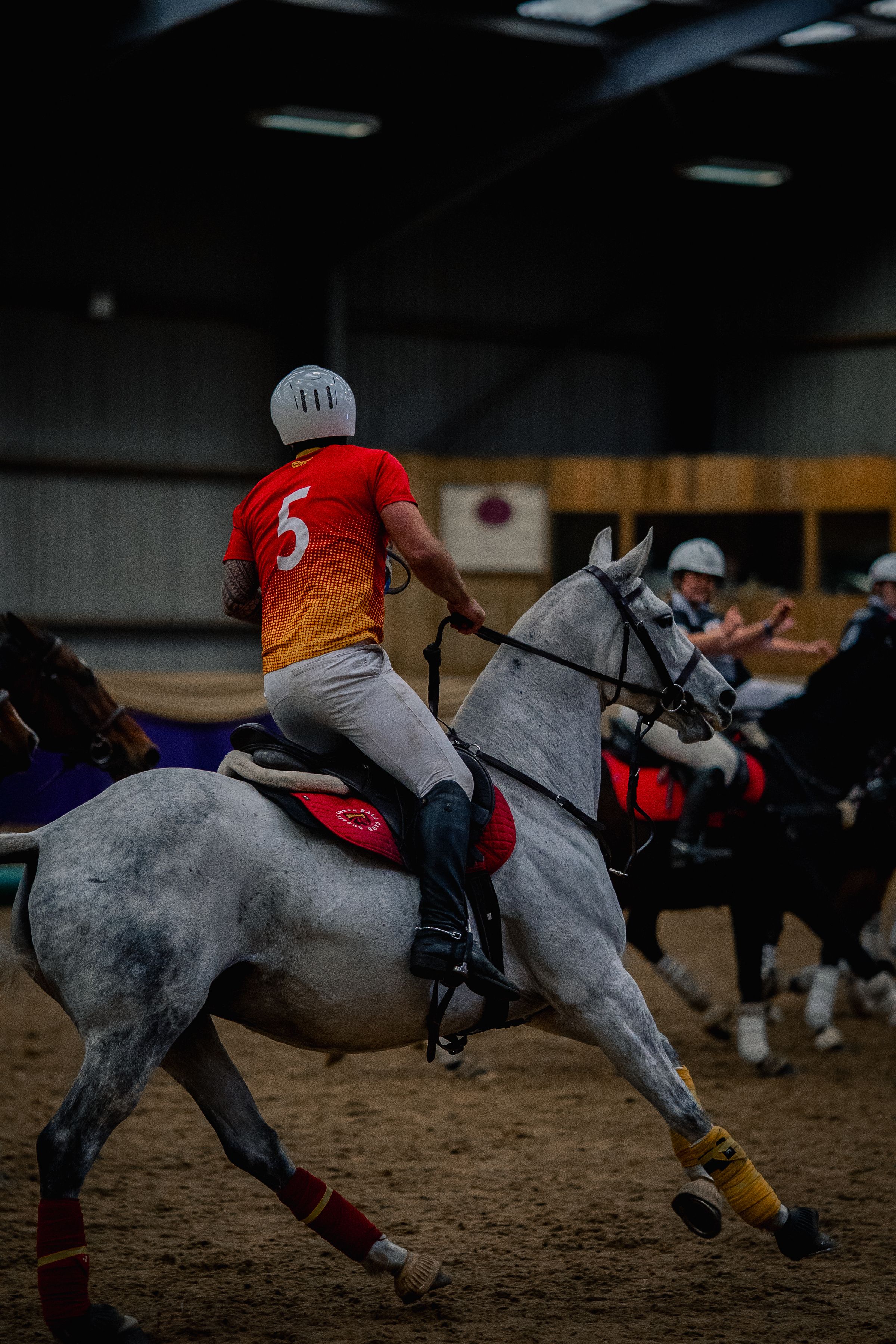 Sussex Horseball Club's image