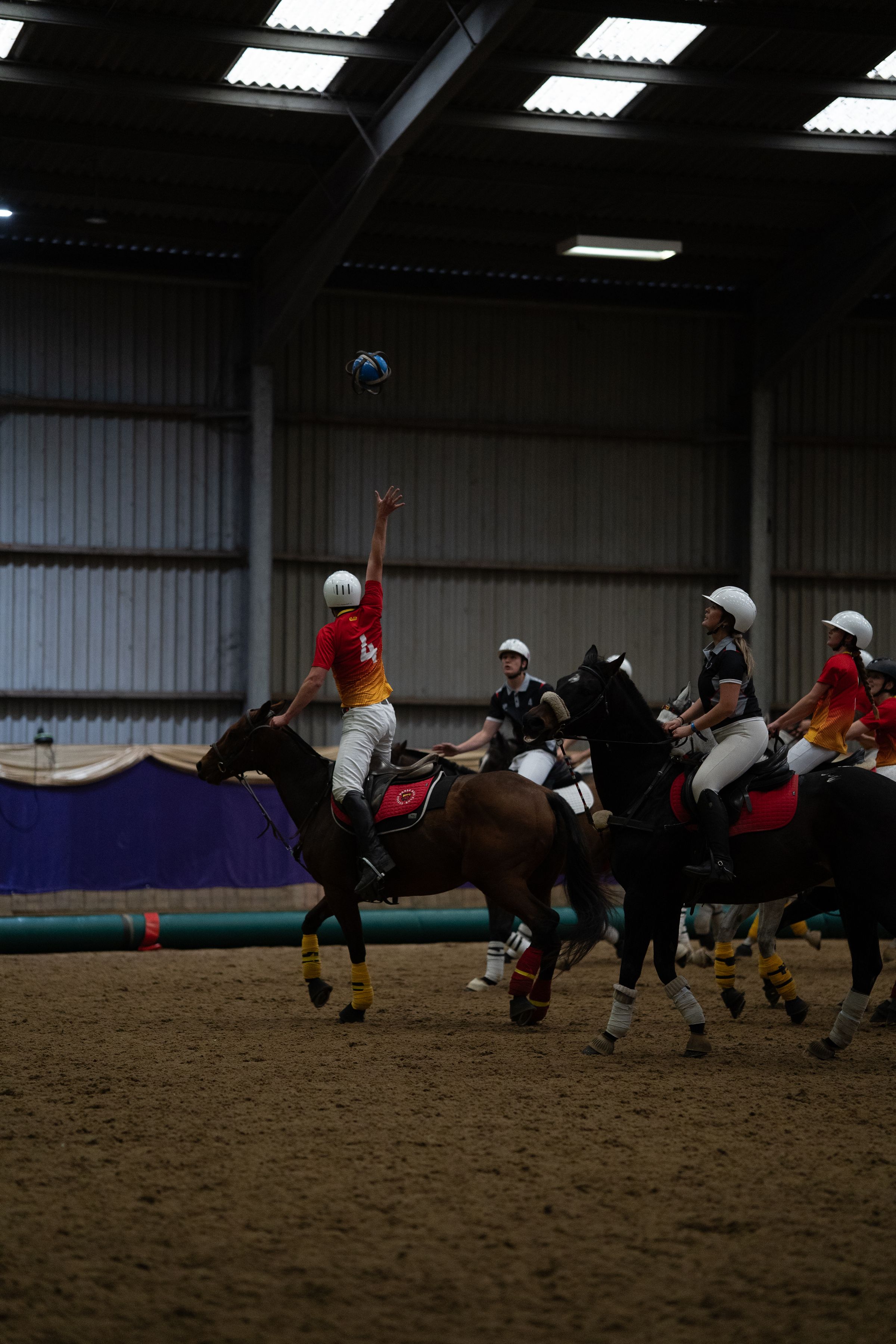 Sussex Horseball Club's image