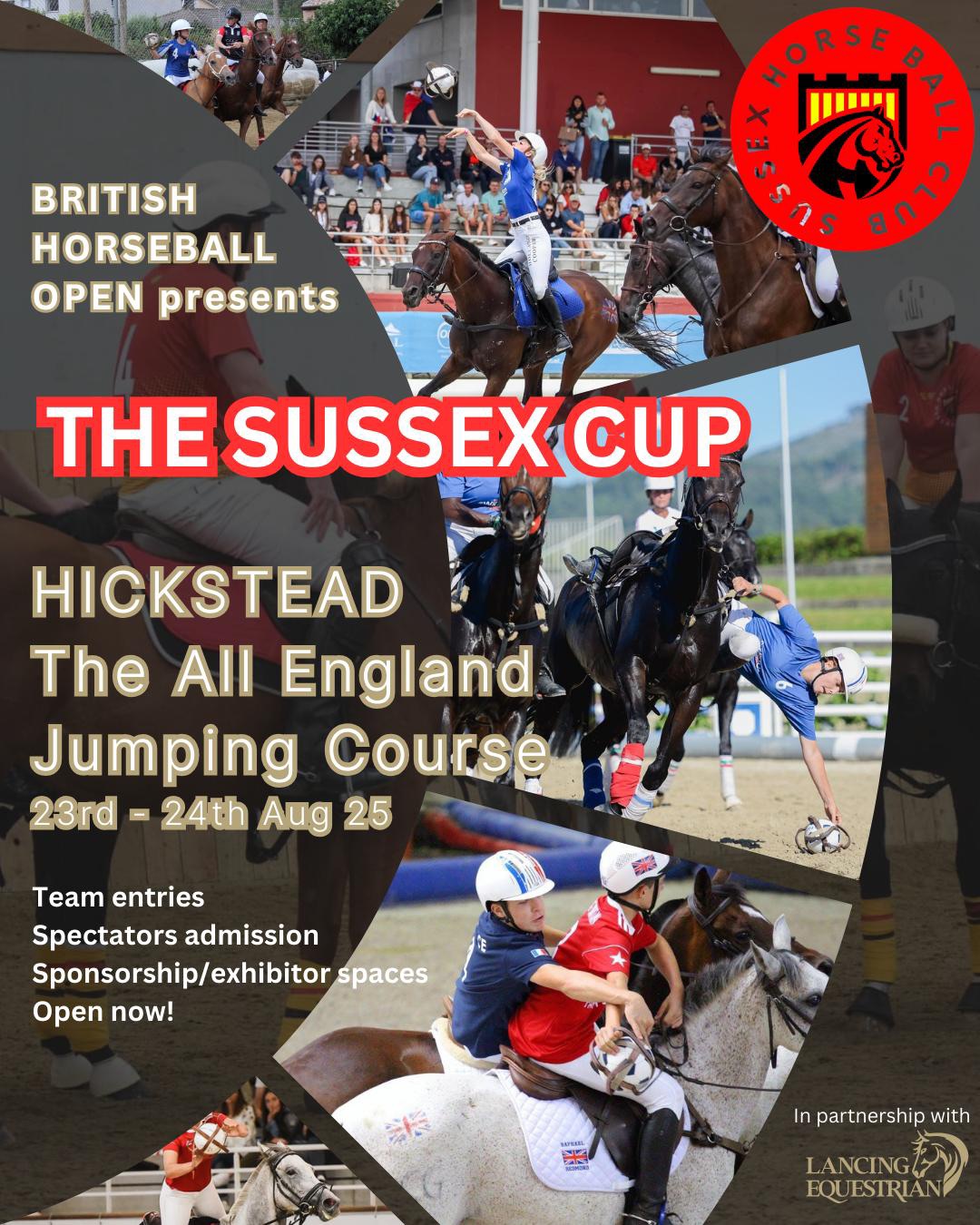 Sussex Horseball Club's image