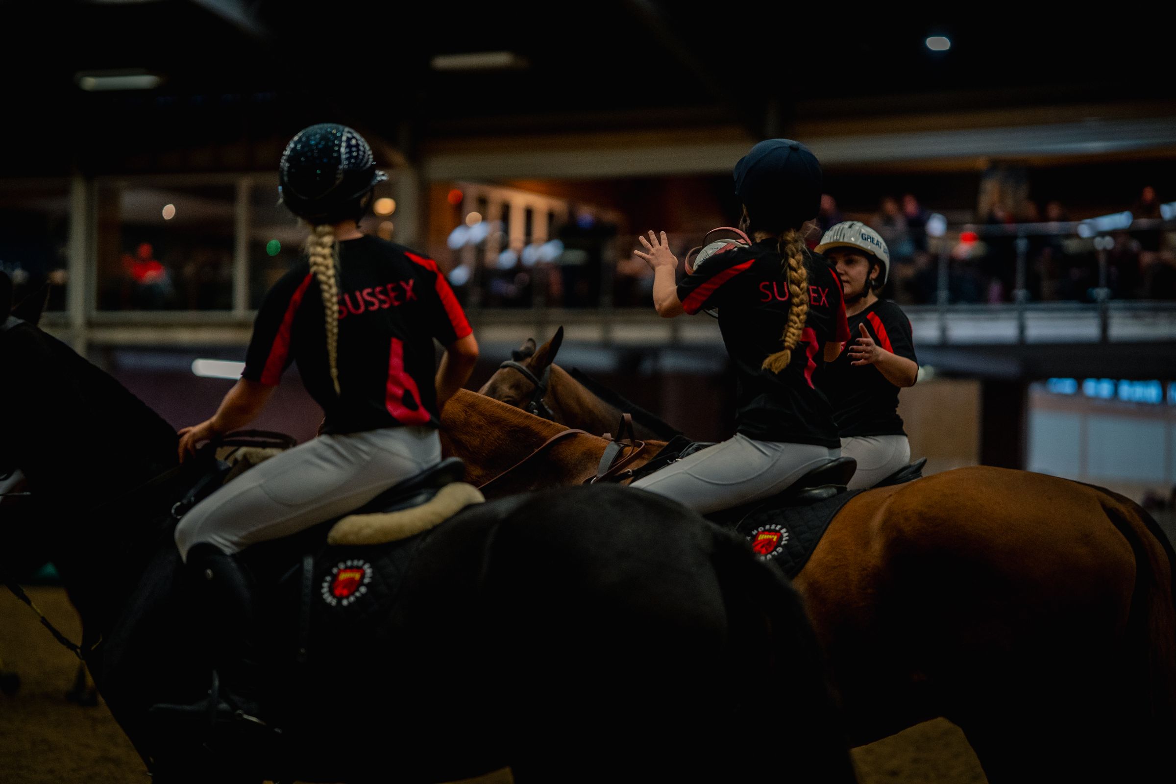 Sussex Horseball Club's image