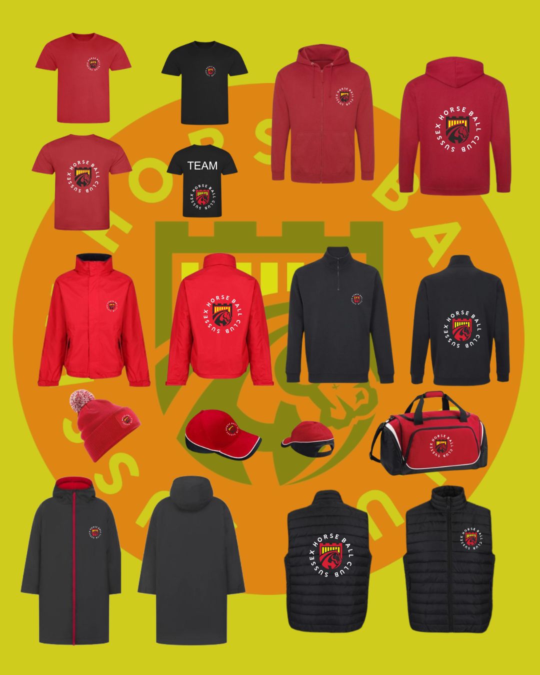 Sussex Horseball Club's image