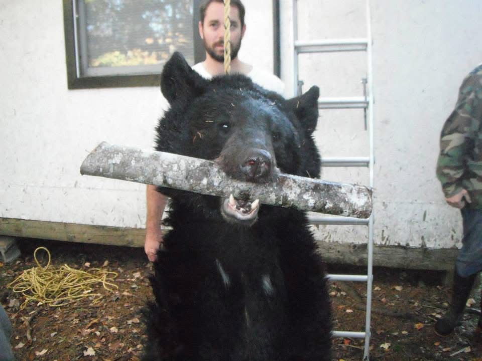 JPD Outfitters's image