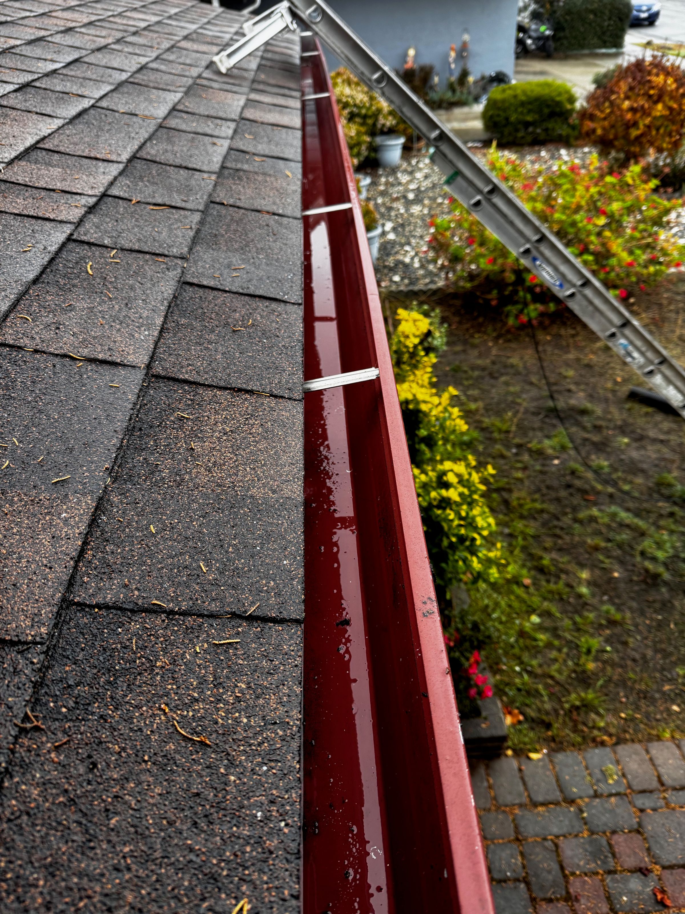 Solar Panel Cleaning San Jose, CA | AG Windows And Gutters's image