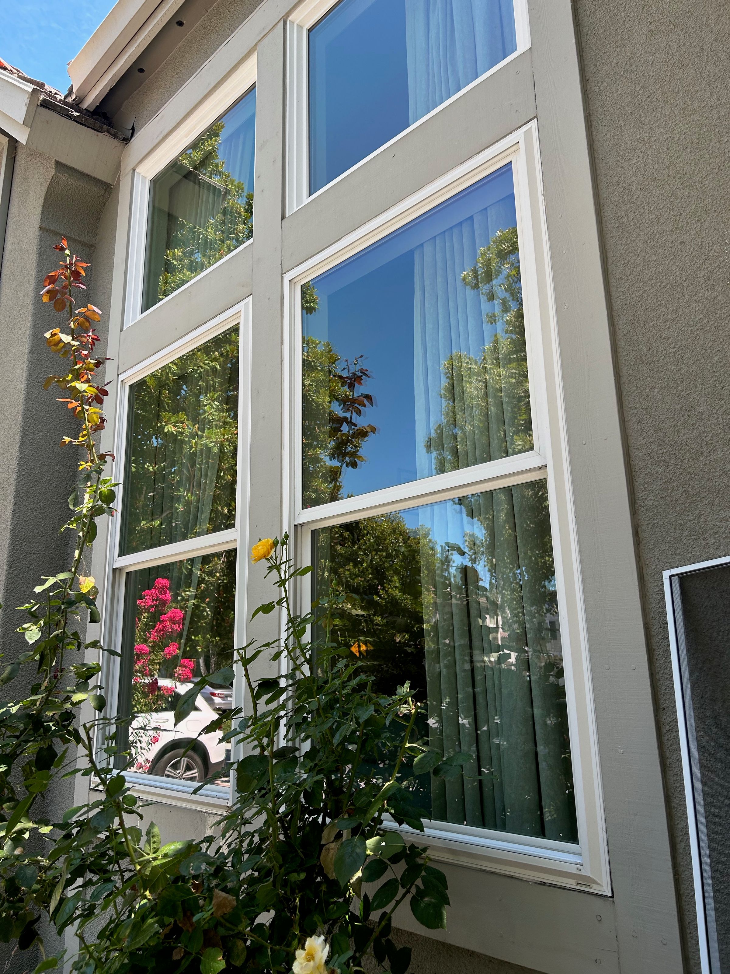 Solar Panel Cleaning San Jose, CA | AG Windows And Gutters's image