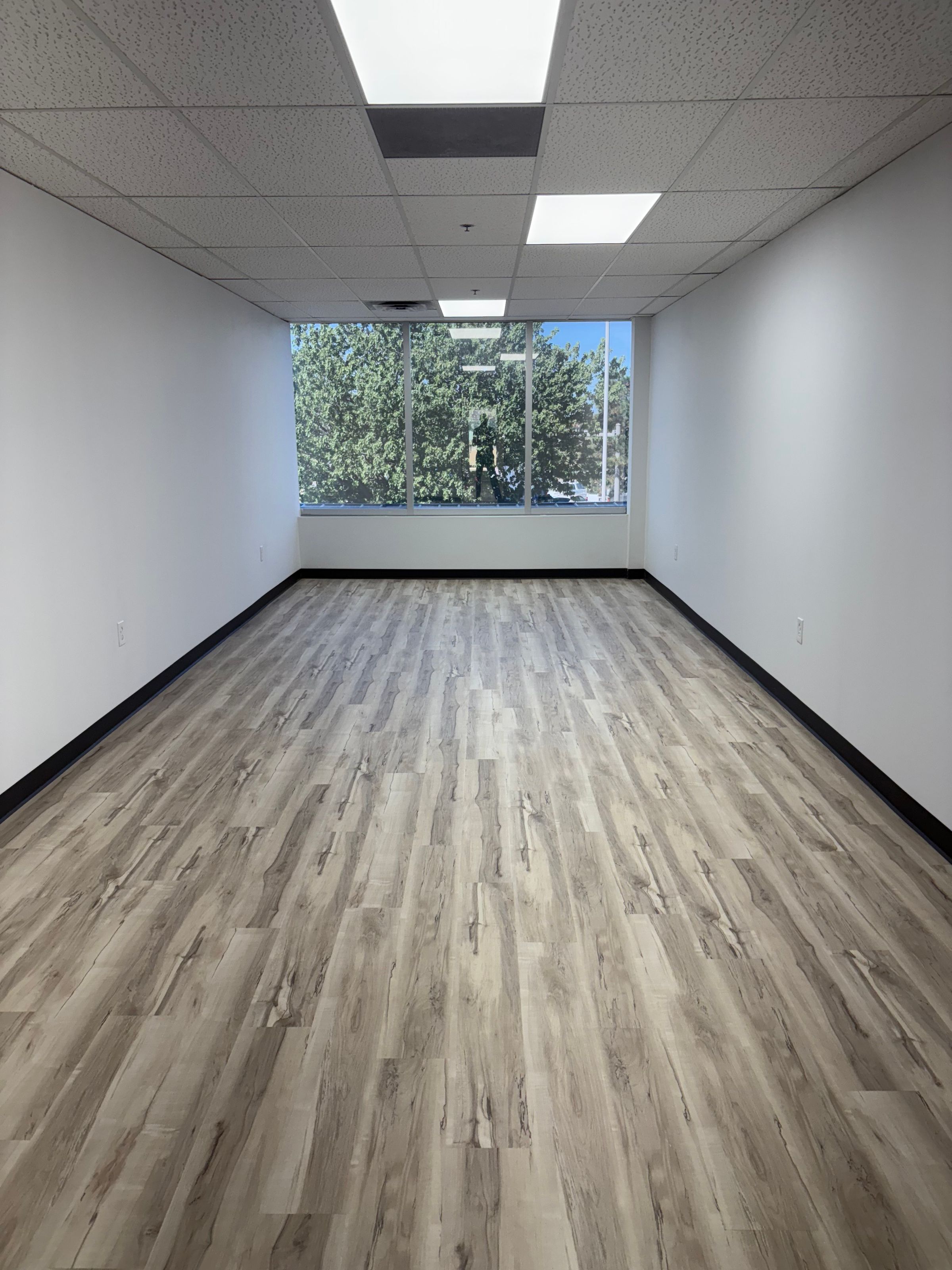 Empty Suite 