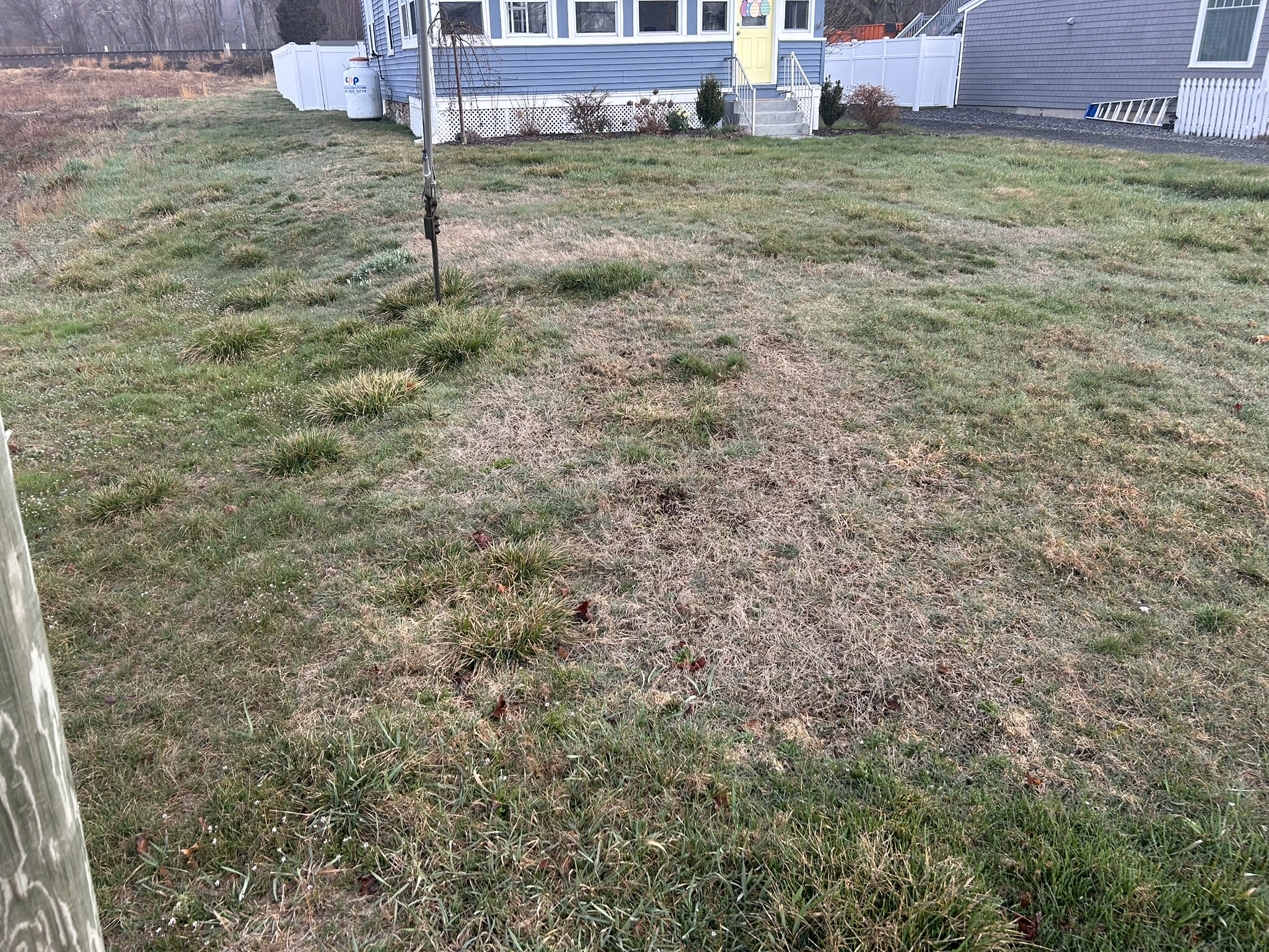 Dethatching (Before)