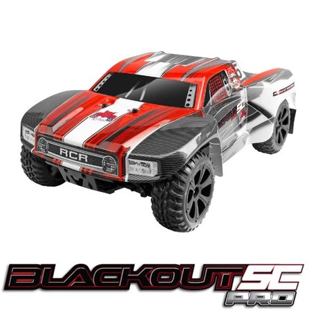 RC Short Course/Truggy