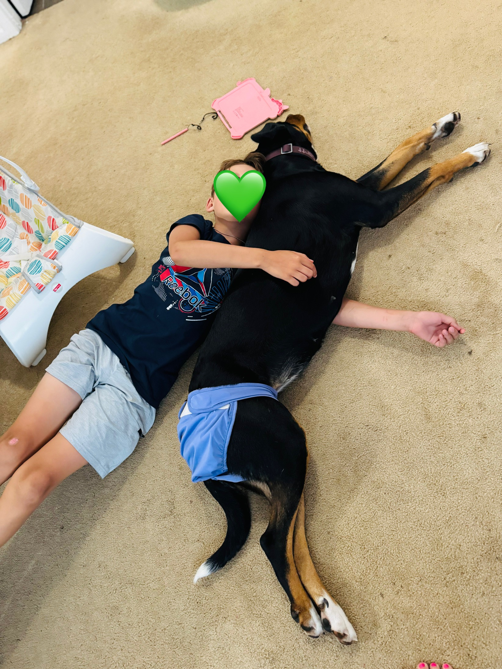 Two Paws Above's image