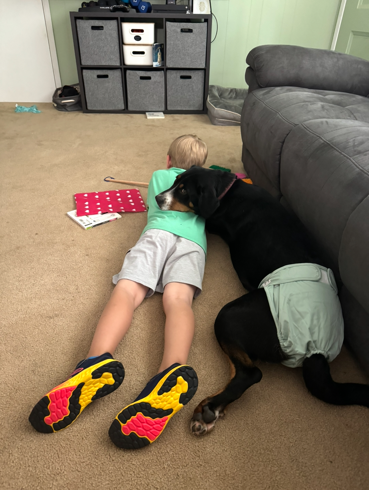 Two Paws Above's image