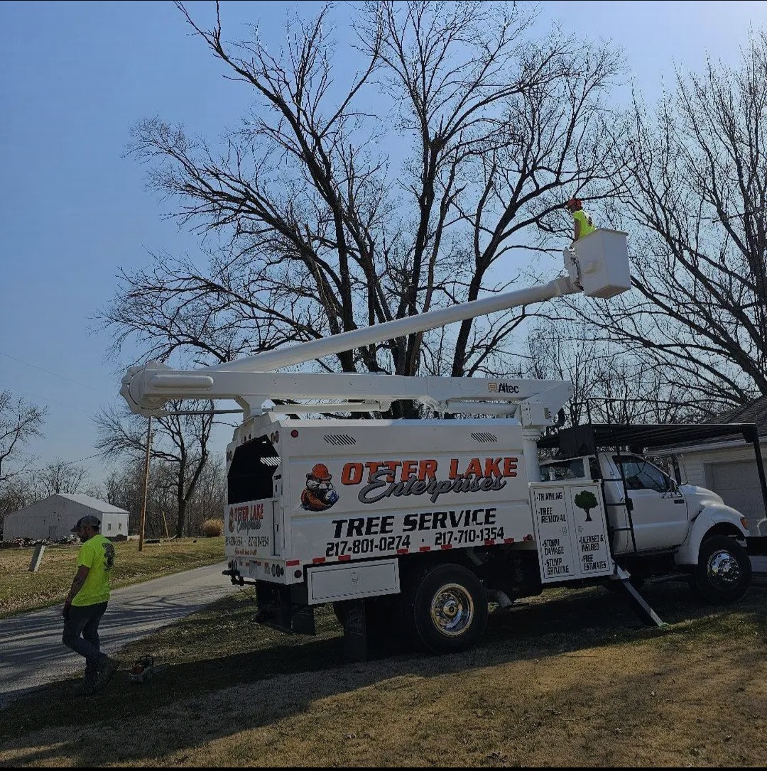 Fallen and Found's image