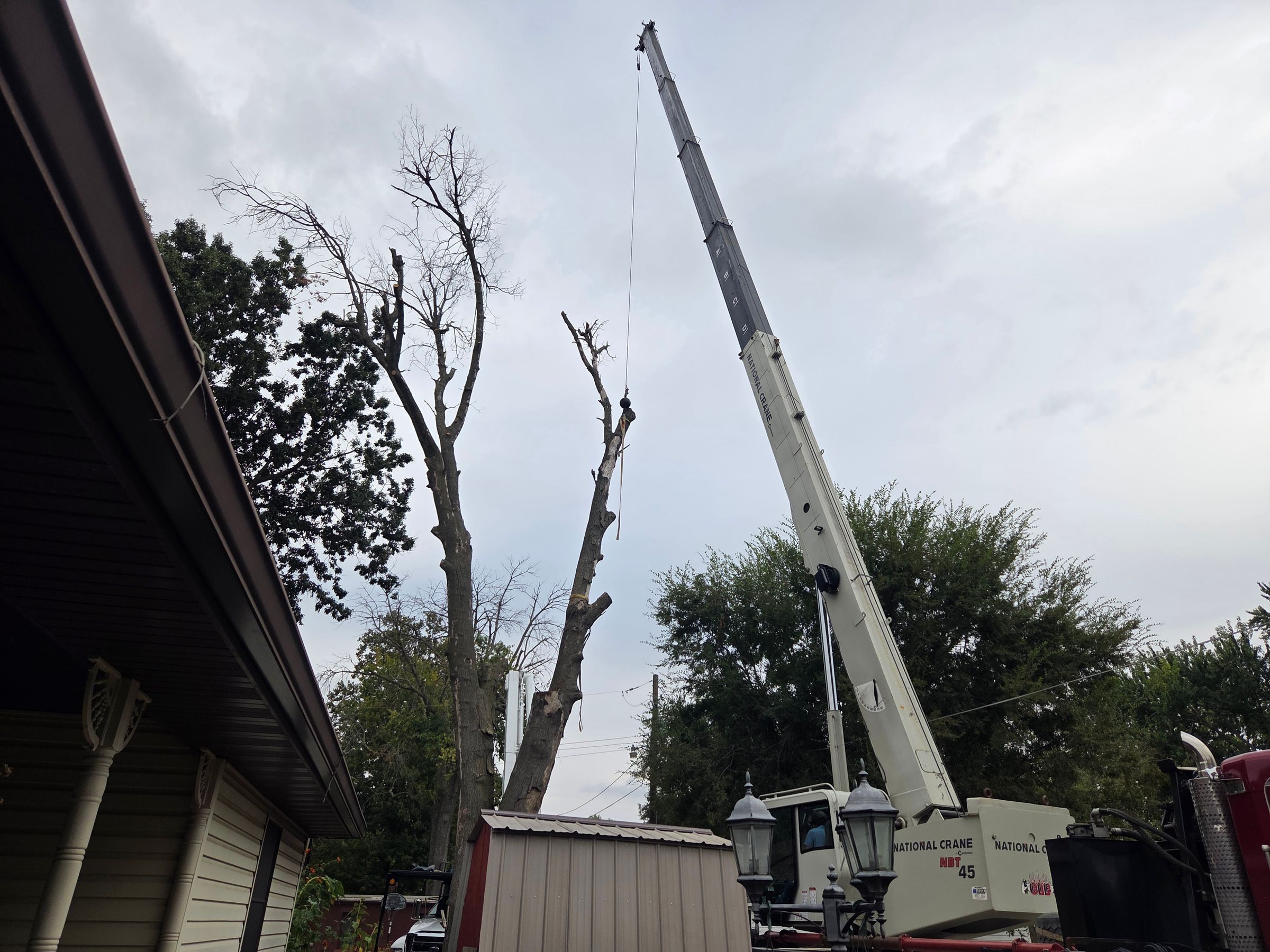 Fallen and Found's image