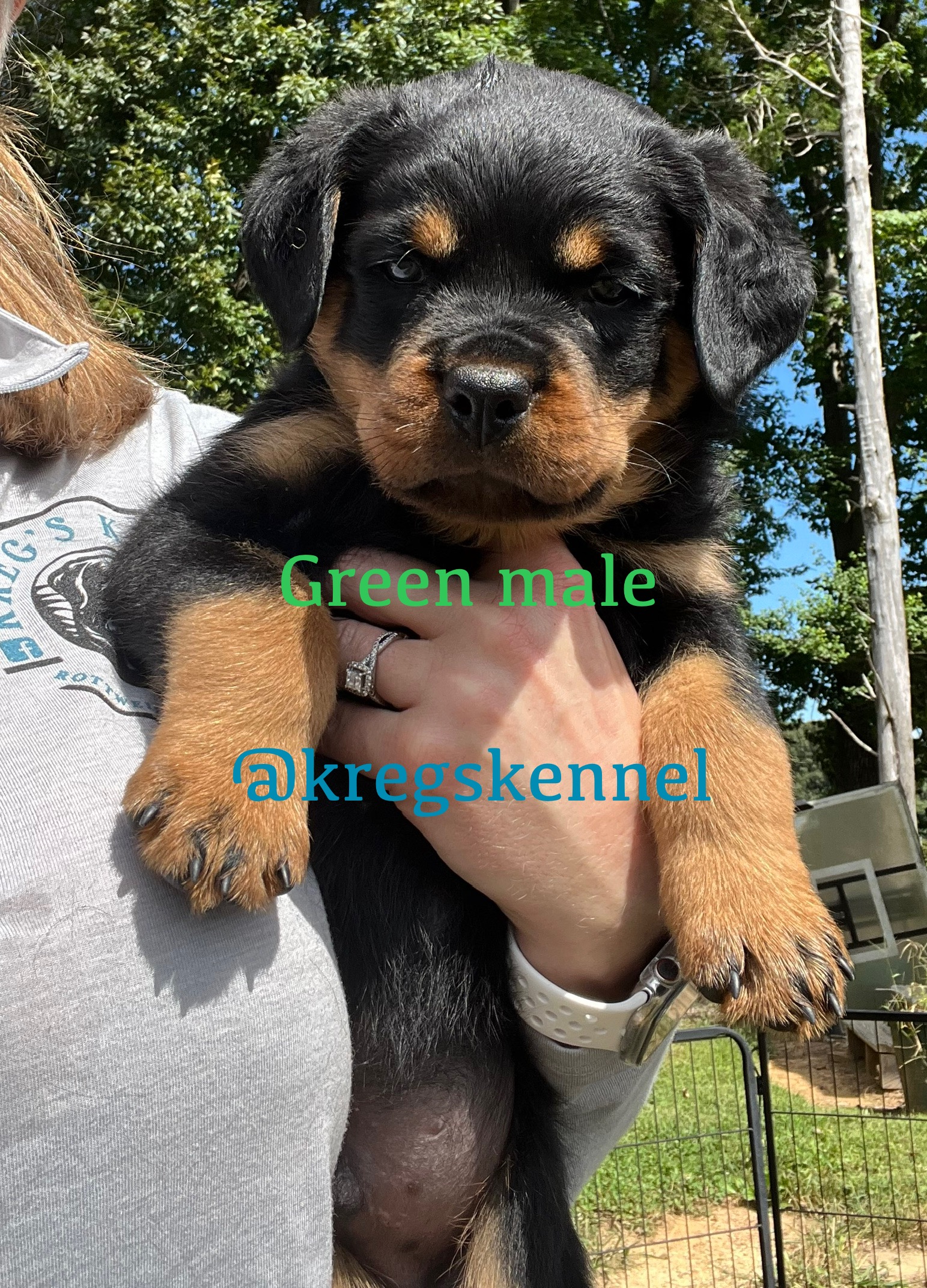 Kreg’s Kennel's image