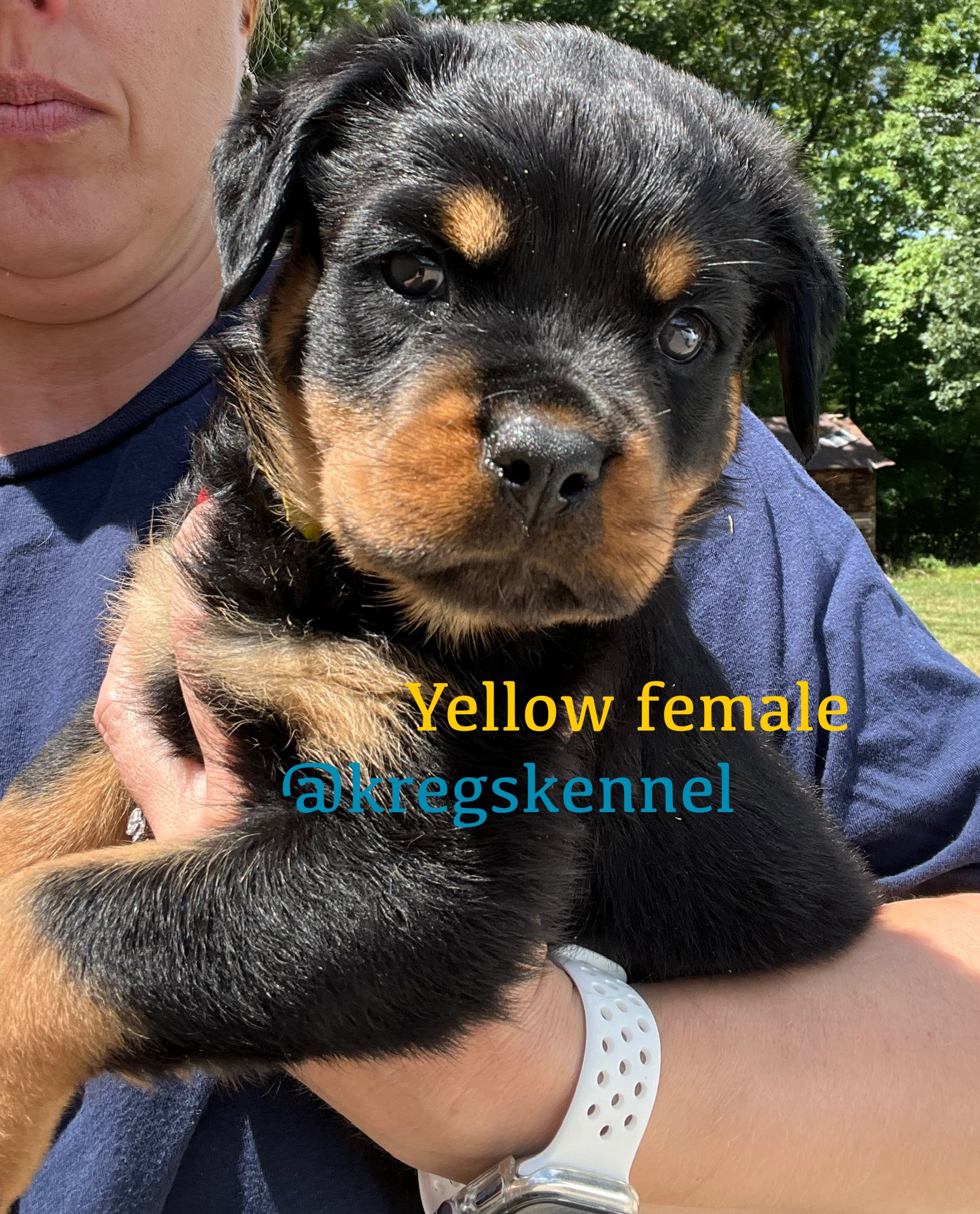 Kreg’s Kennel's image
