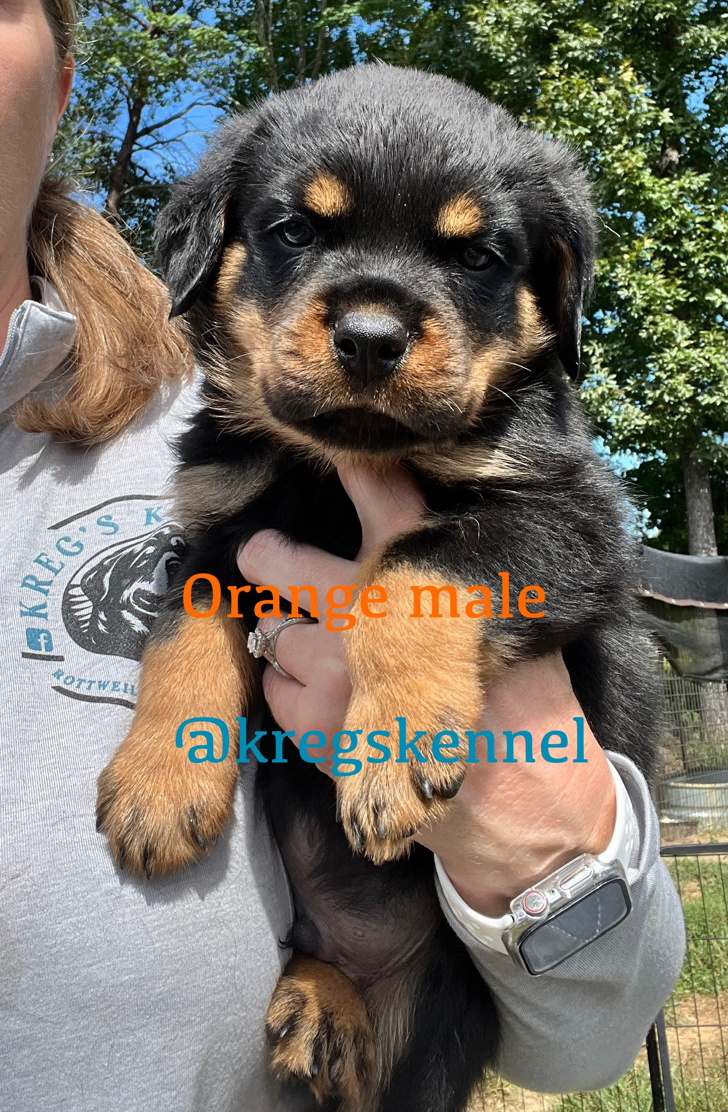 Kreg’s Kennel's image