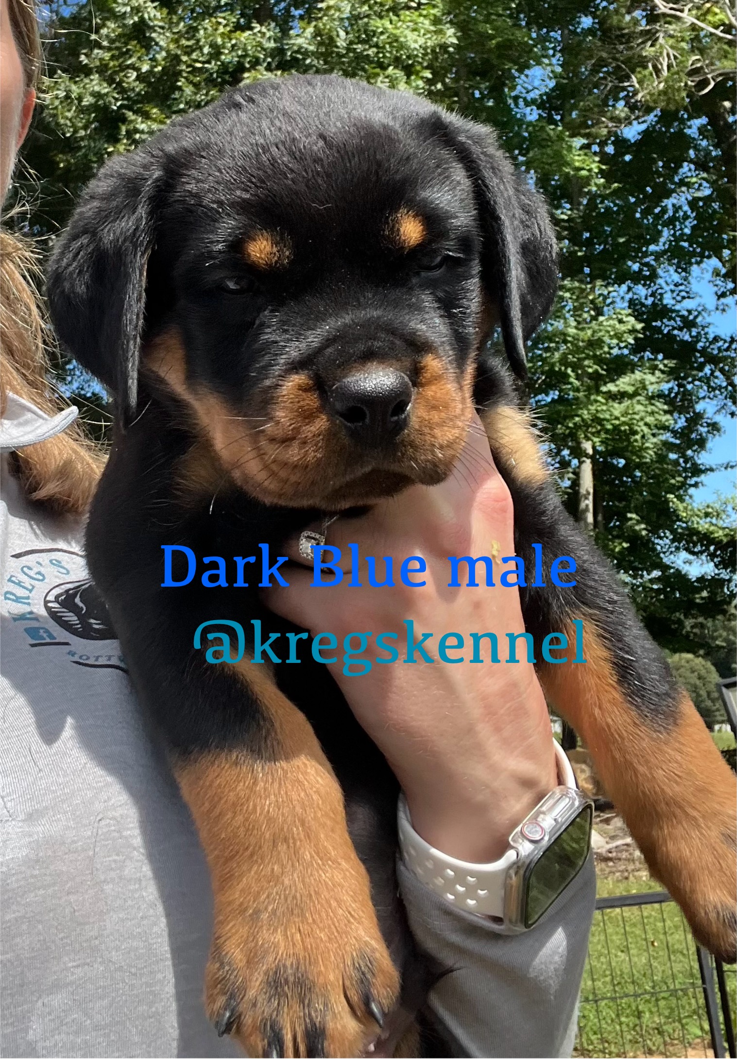 Kreg’s Kennel's image
