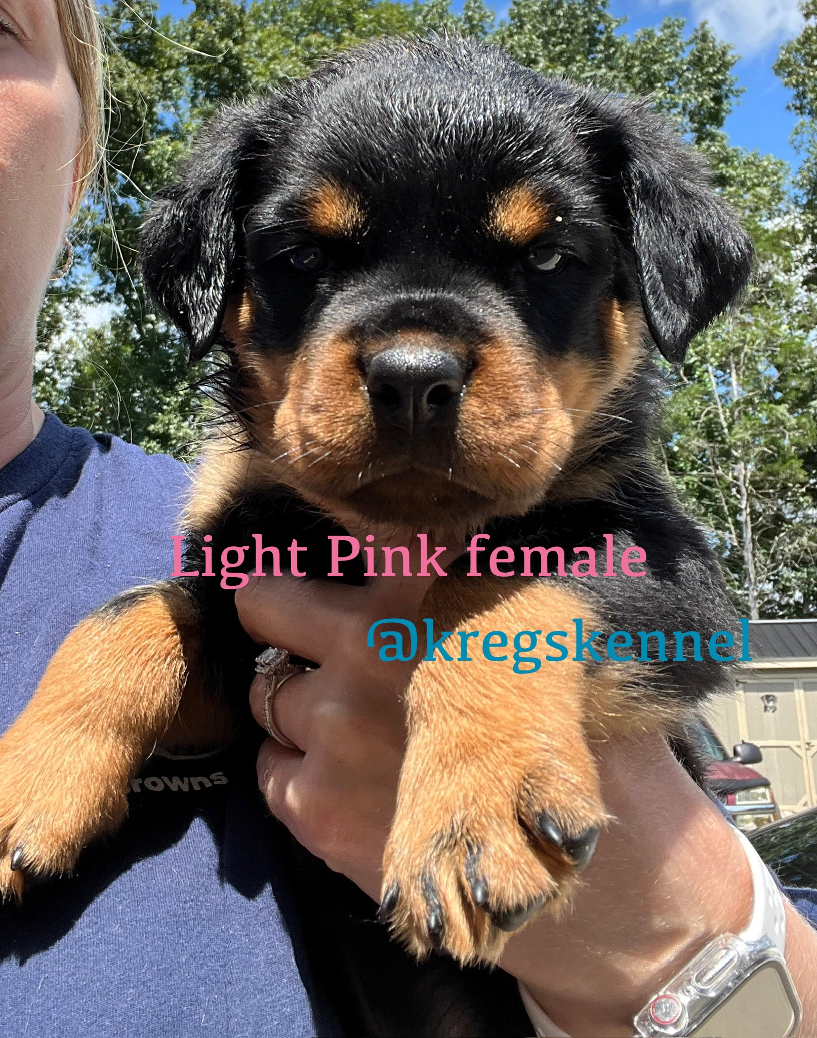 Kreg’s Kennel's image
