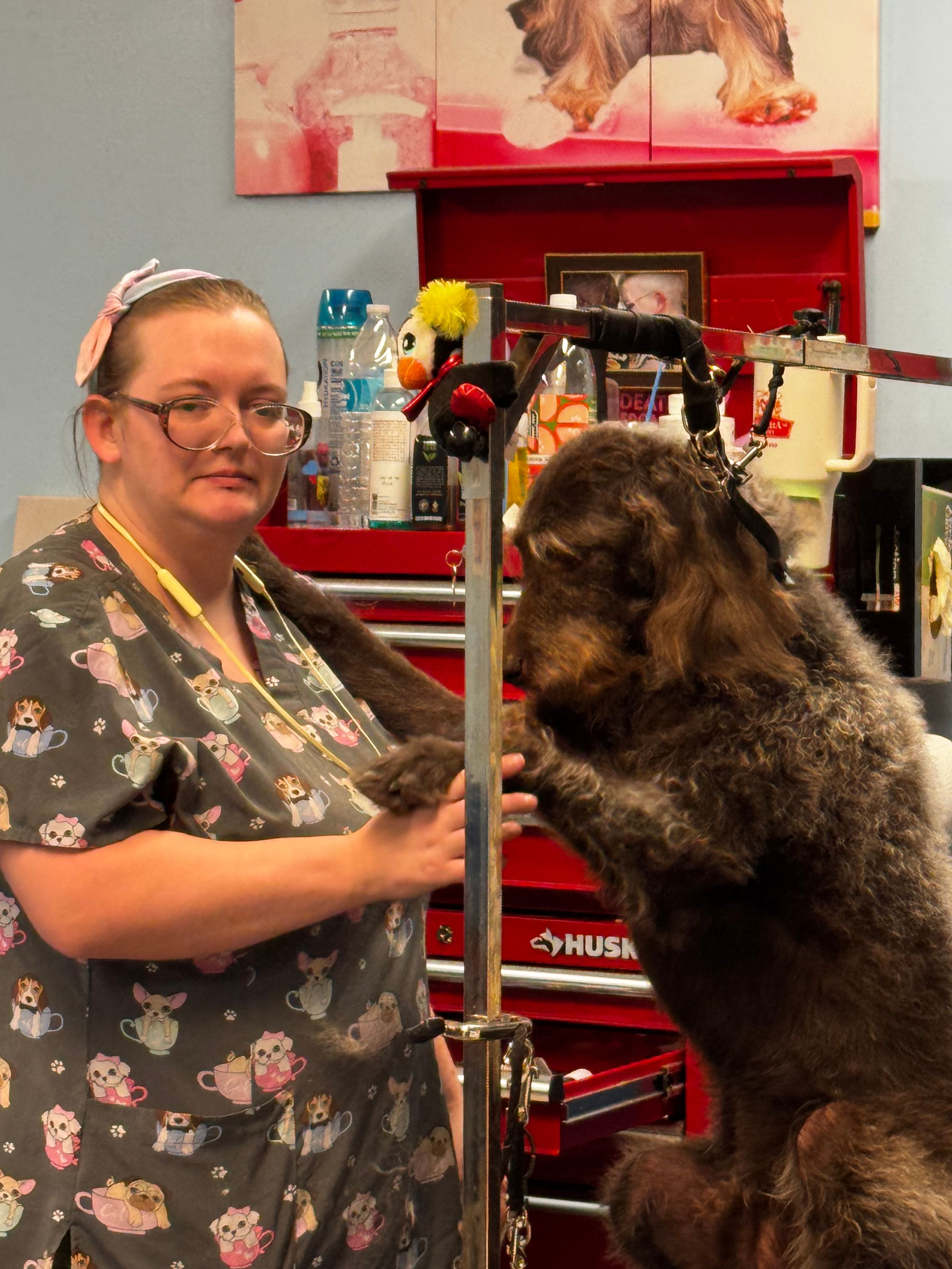  CORI’S CRITTER CREATIONS 's image