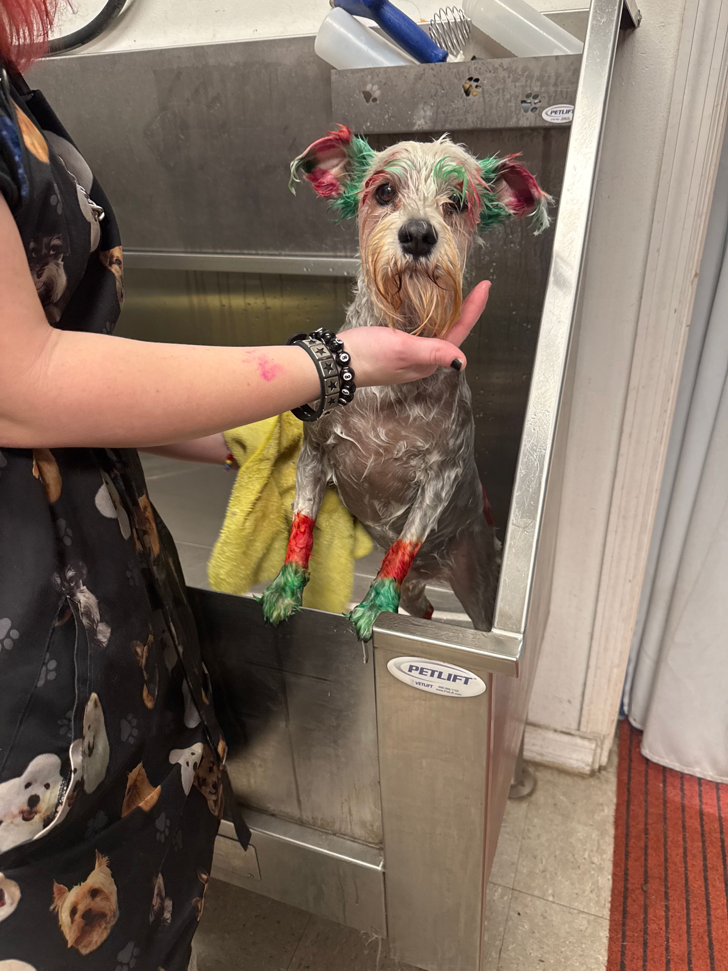  CORI’S CRITTER CREATIONS 's image