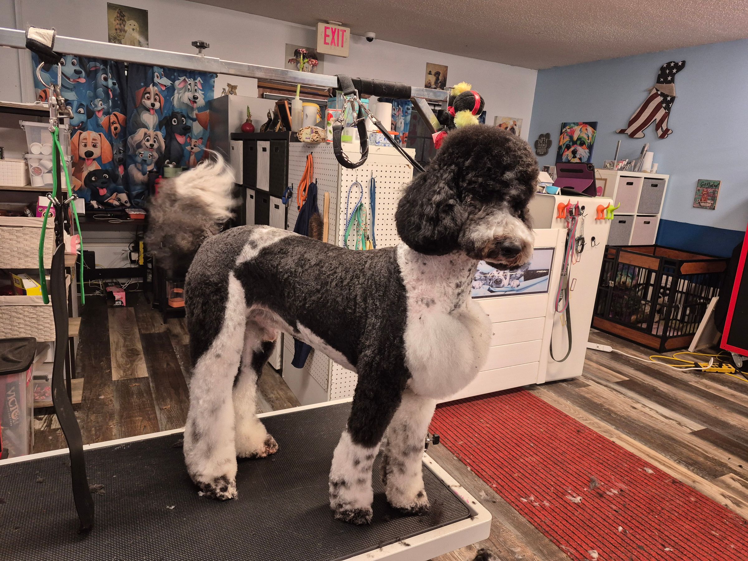  CORI’S CRITTER CREATIONS 's image