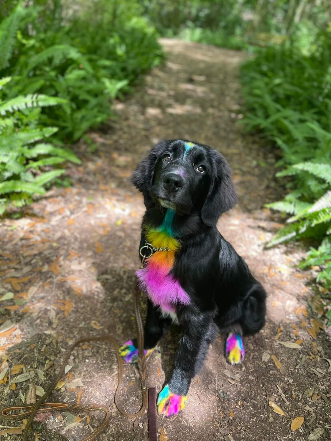  CORI’S CRITTER CREATIONS 's image