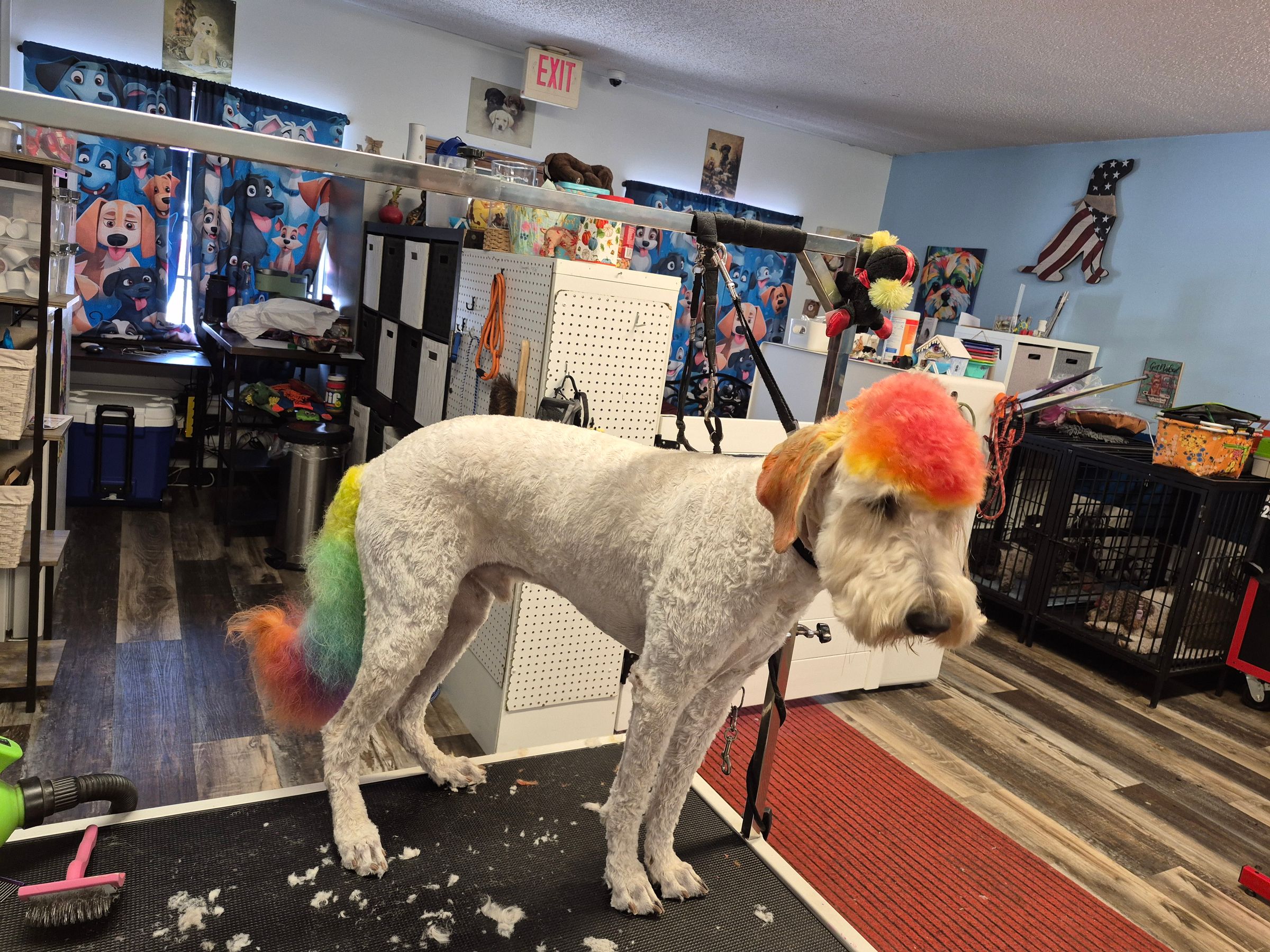  CORI’S CRITTER CREATIONS 's image