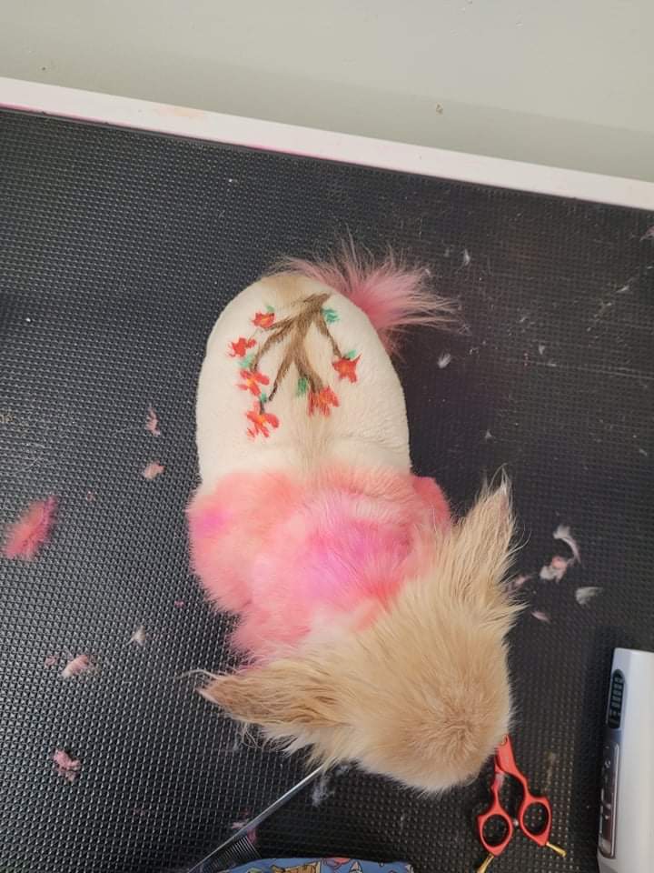  CORI’S CRITTER CREATIONS 's image