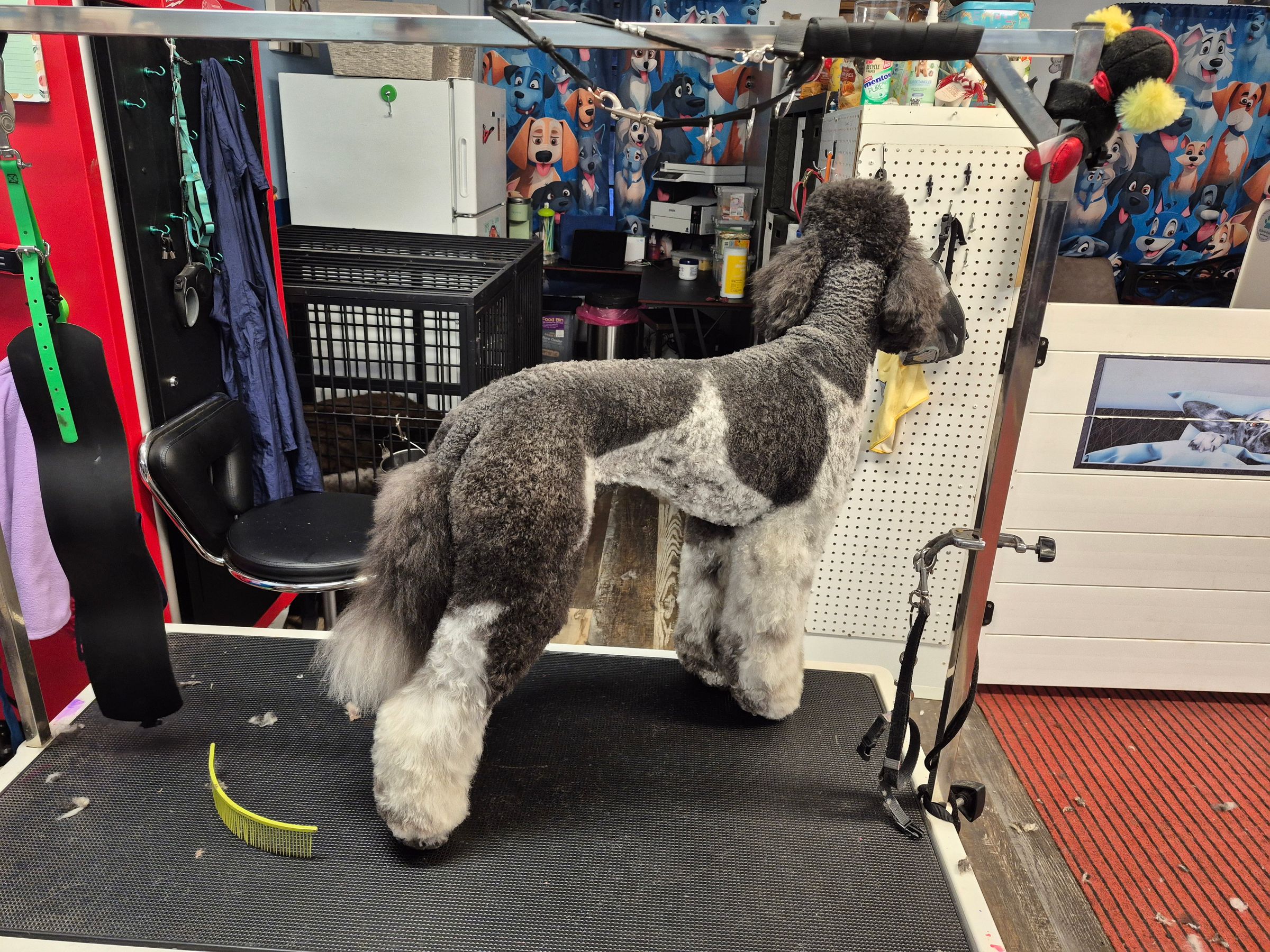  CORI’S CRITTER CREATIONS 's image